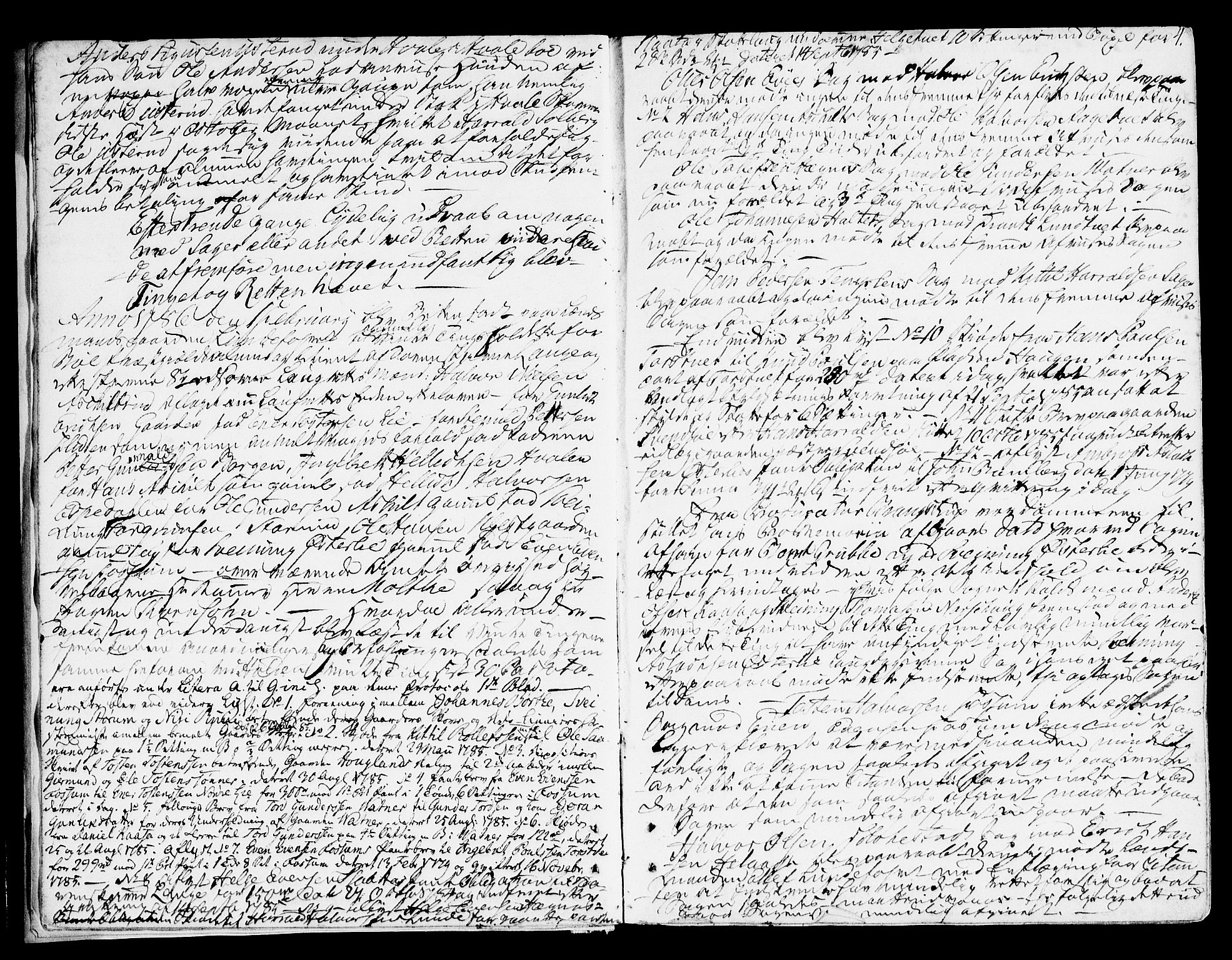 Nedre Telemark sorenskriveri, AV/SAKO-A-135/F/Fa/L0029: Tingbok, 1786-1789, s. 4