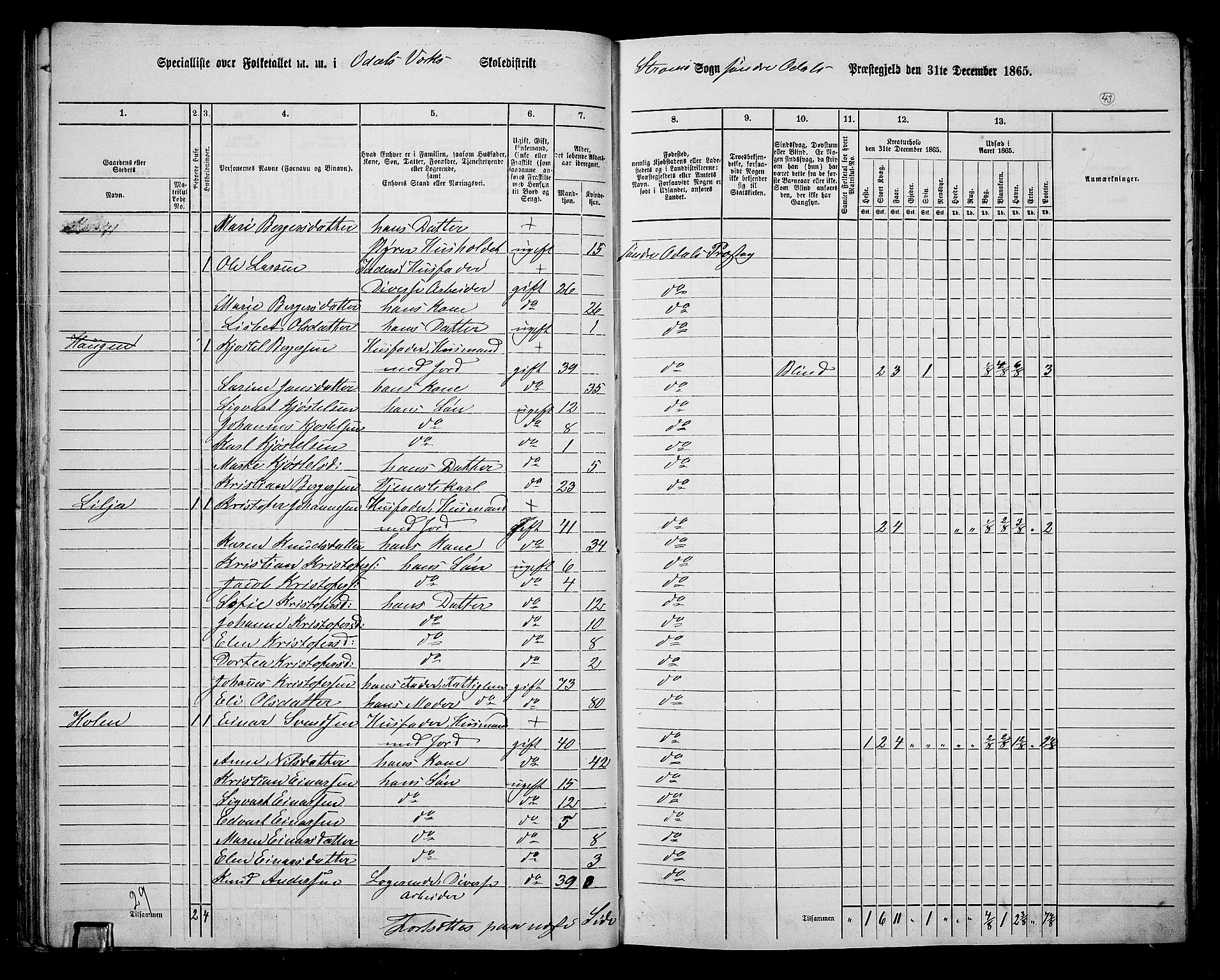 RA, Folketelling 1865 for 0419P Sør-Odal prestegjeld, 1865, s. 39