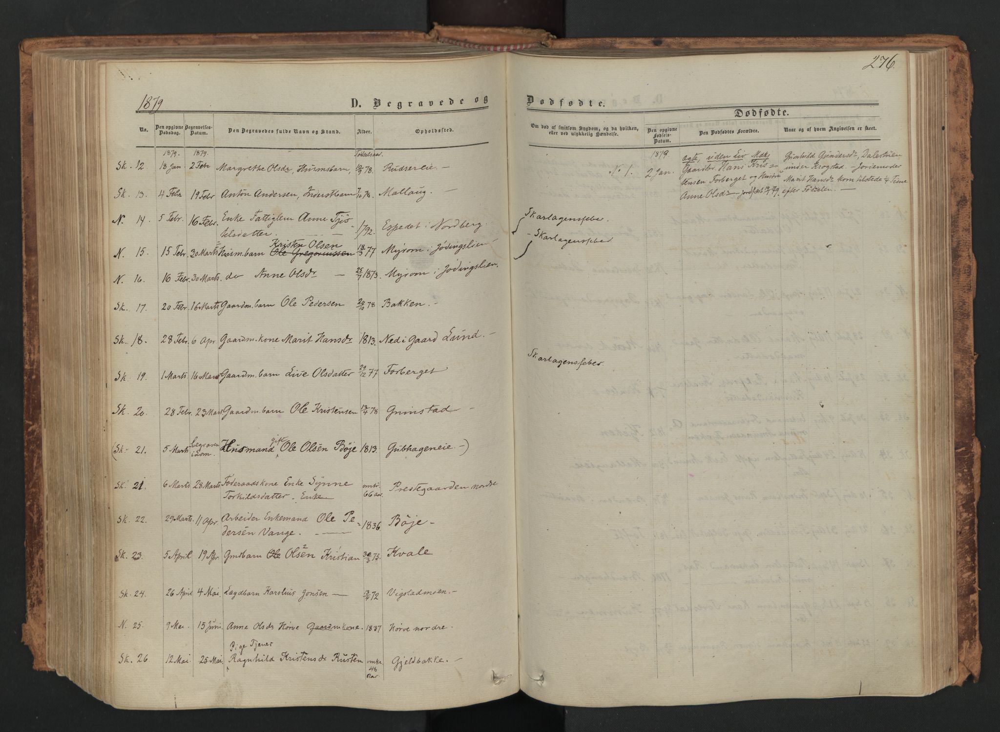 Skjåk prestekontor, AV/SAH-PREST-072/H/Ha/Haa/L0001: Ministerialbok nr. 1, 1863-1879, s. 276