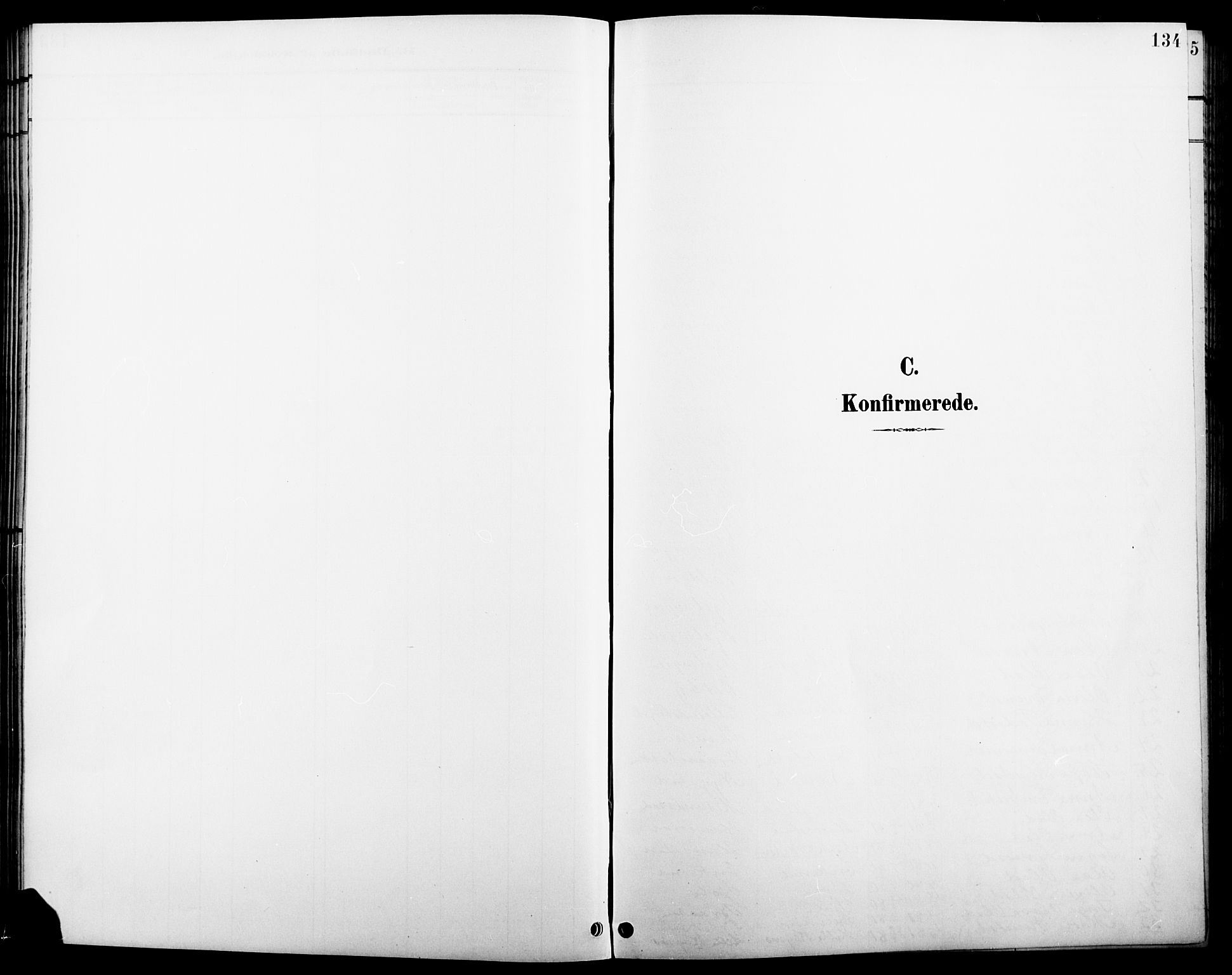 Åsnes prestekontor, SAH/PREST-042/H/Ha/Hab/L0005: Klokkerbok nr. 5, 1895-1920, s. 134
