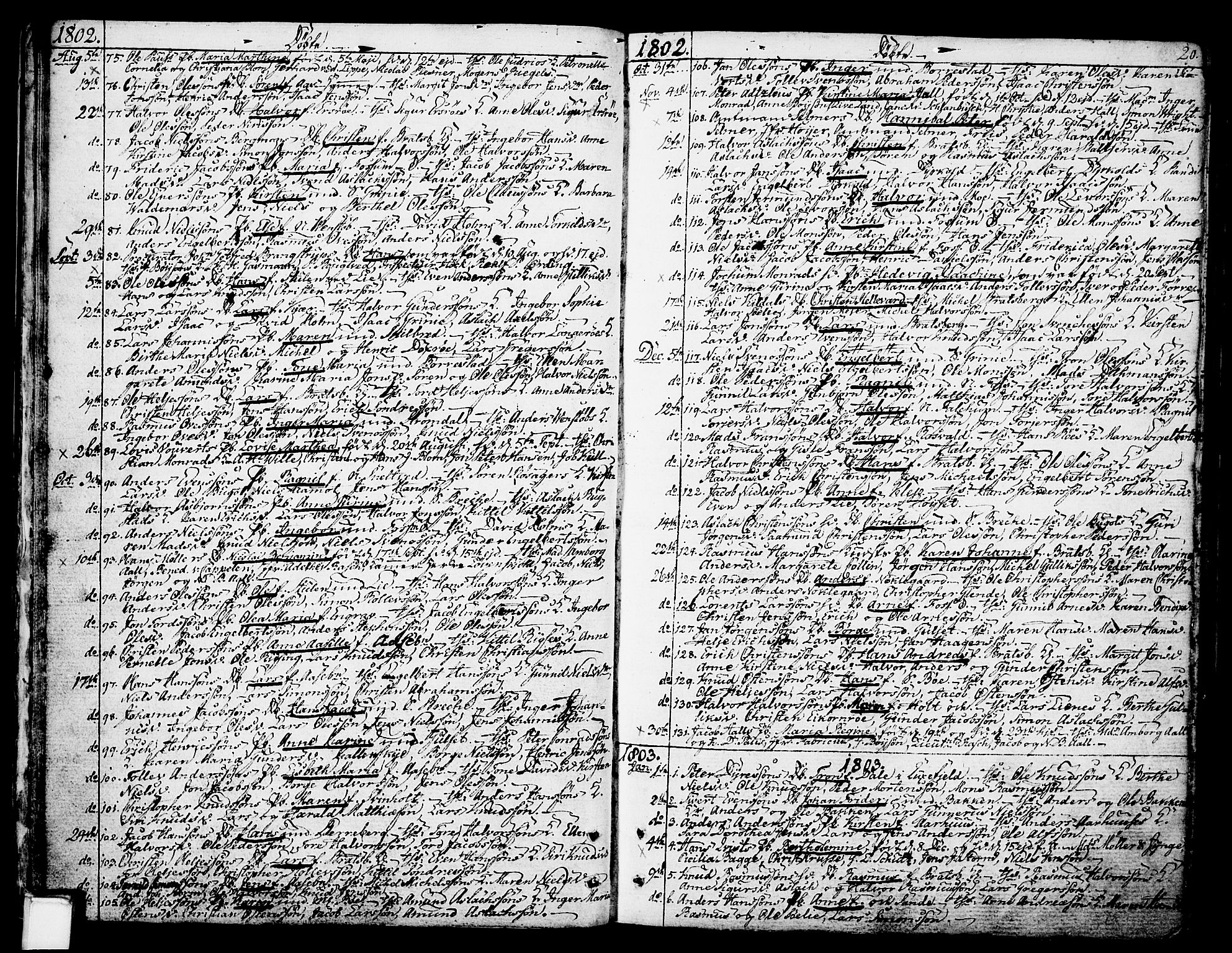 Gjerpen kirkebøker, AV/SAKO-A-265/F/Fa/L0003: Ministerialbok nr. I 3, 1796-1814, s. 20