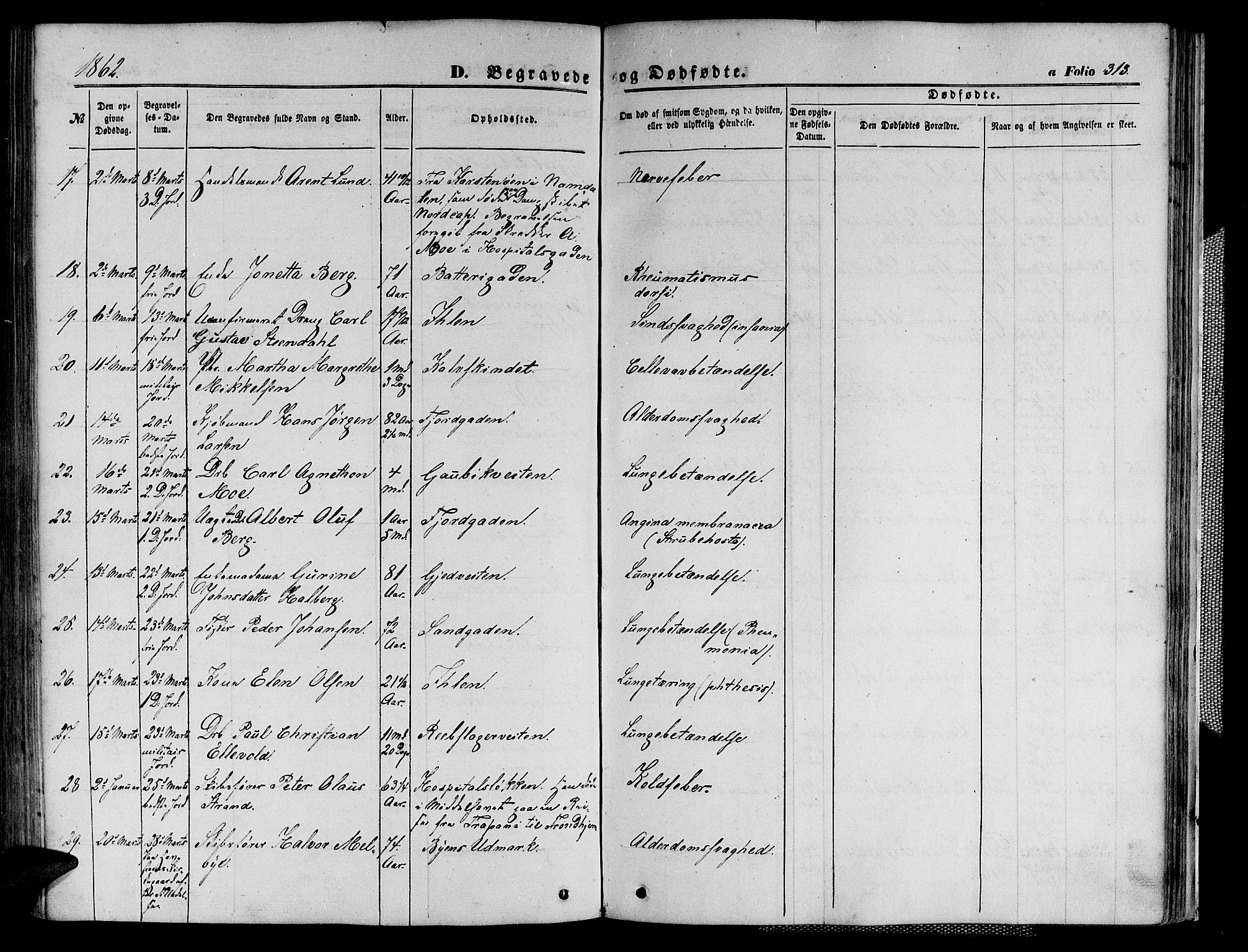 Ministerialprotokoller, klokkerbøker og fødselsregistre - Sør-Trøndelag, SAT/A-1456/602/L0139: Klokkerbok nr. 602C07, 1859-1864, s. 313