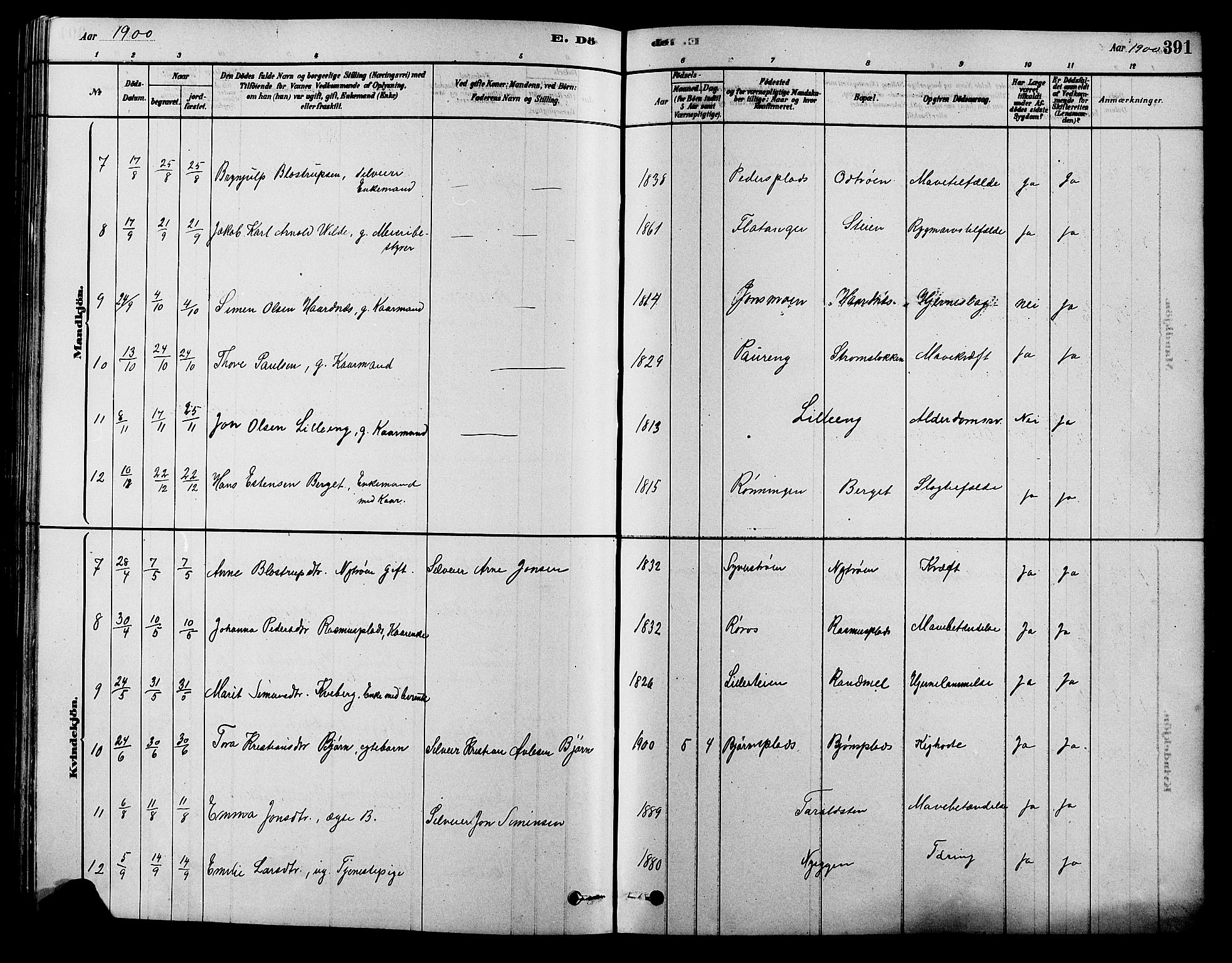 Alvdal prestekontor, AV/SAH-PREST-060/H/Ha/Hab/L0003: Klokkerbok nr. 3, 1878-1907, s. 391