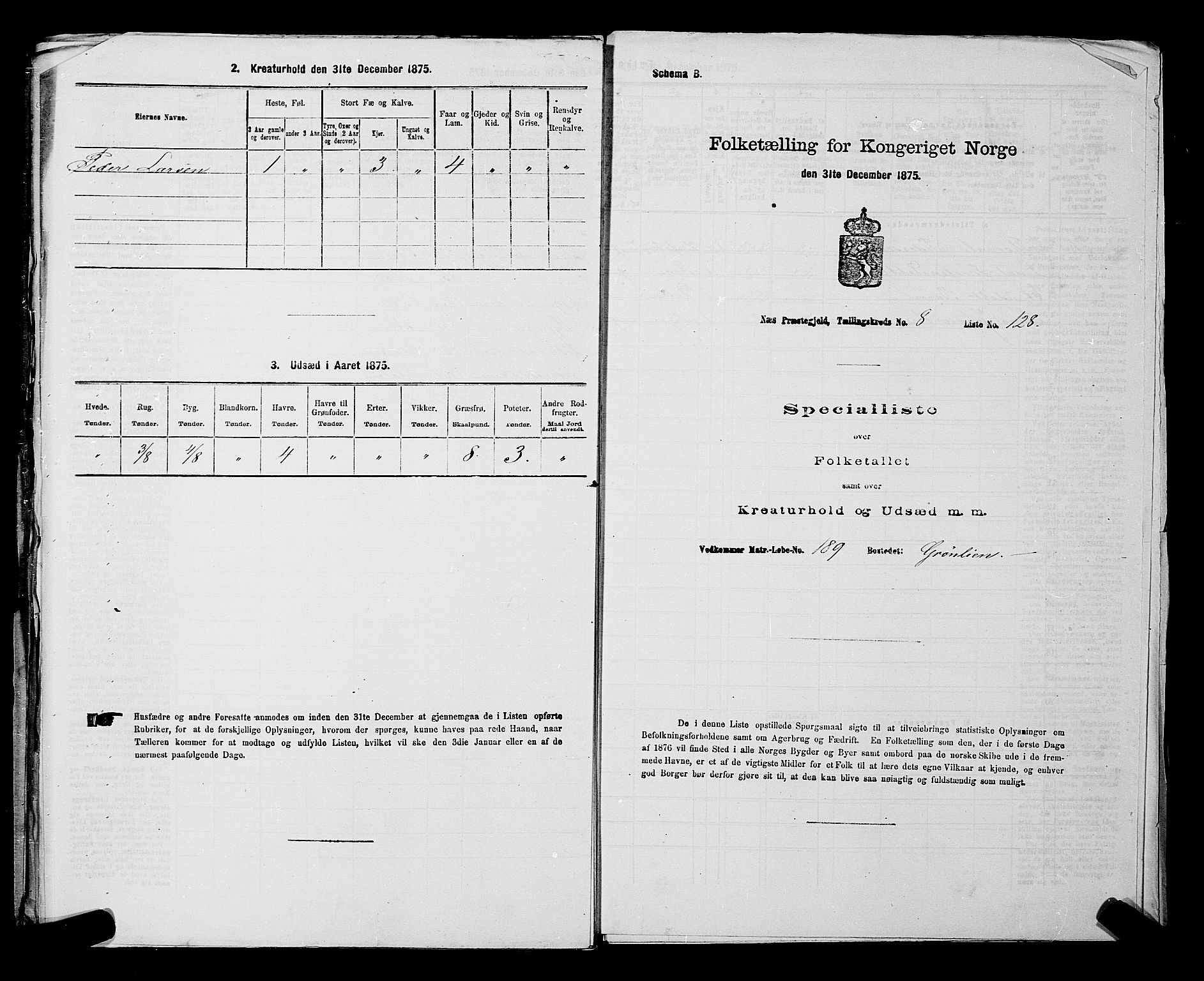 RA, Folketelling 1875 for 0236P Nes prestegjeld, 1875, s. 1487