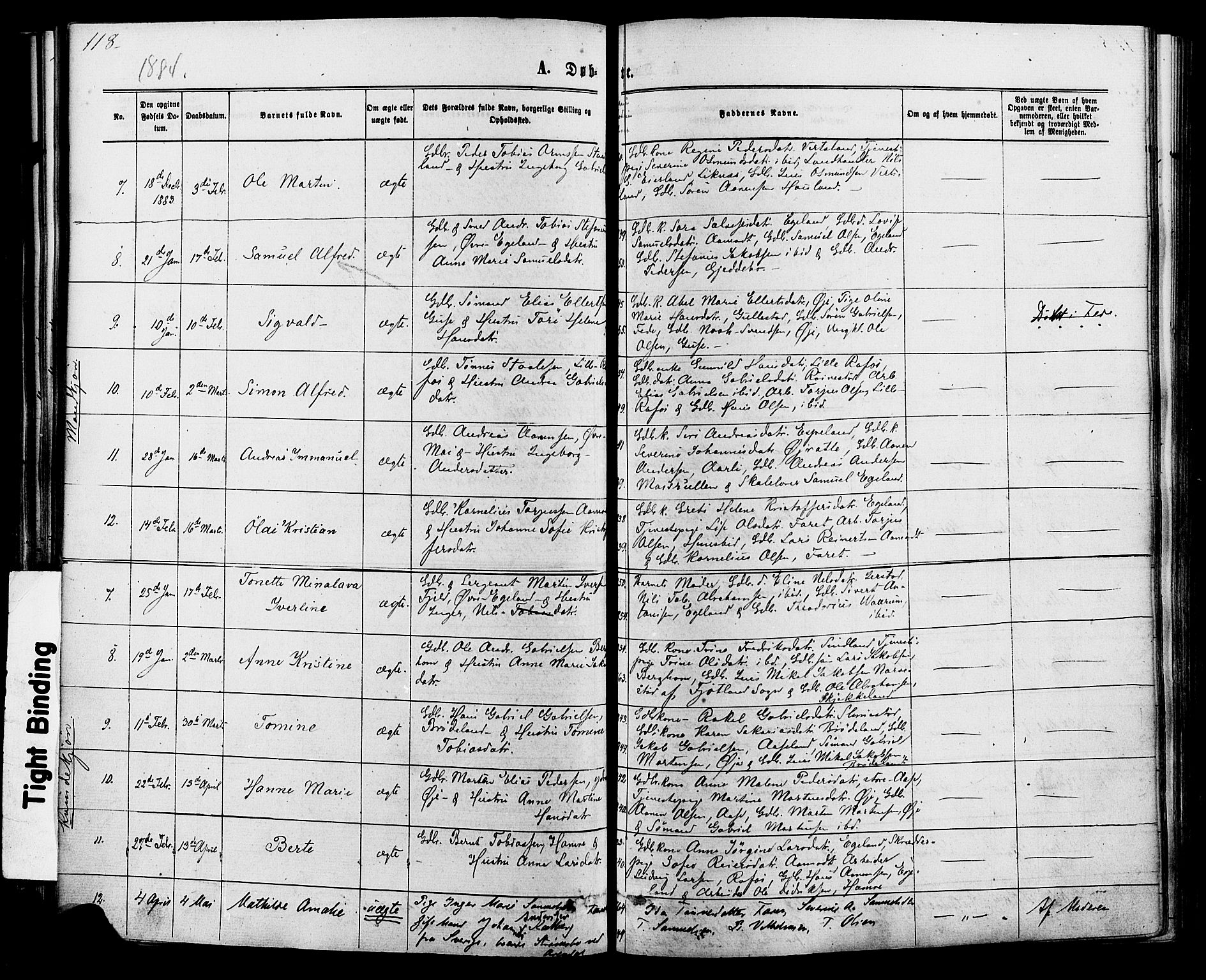 Kvinesdal sokneprestkontor, SAK/1111-0026/F/Fa/Fab/L0007: Ministerialbok nr. A 7, 1870-1885, s. 118