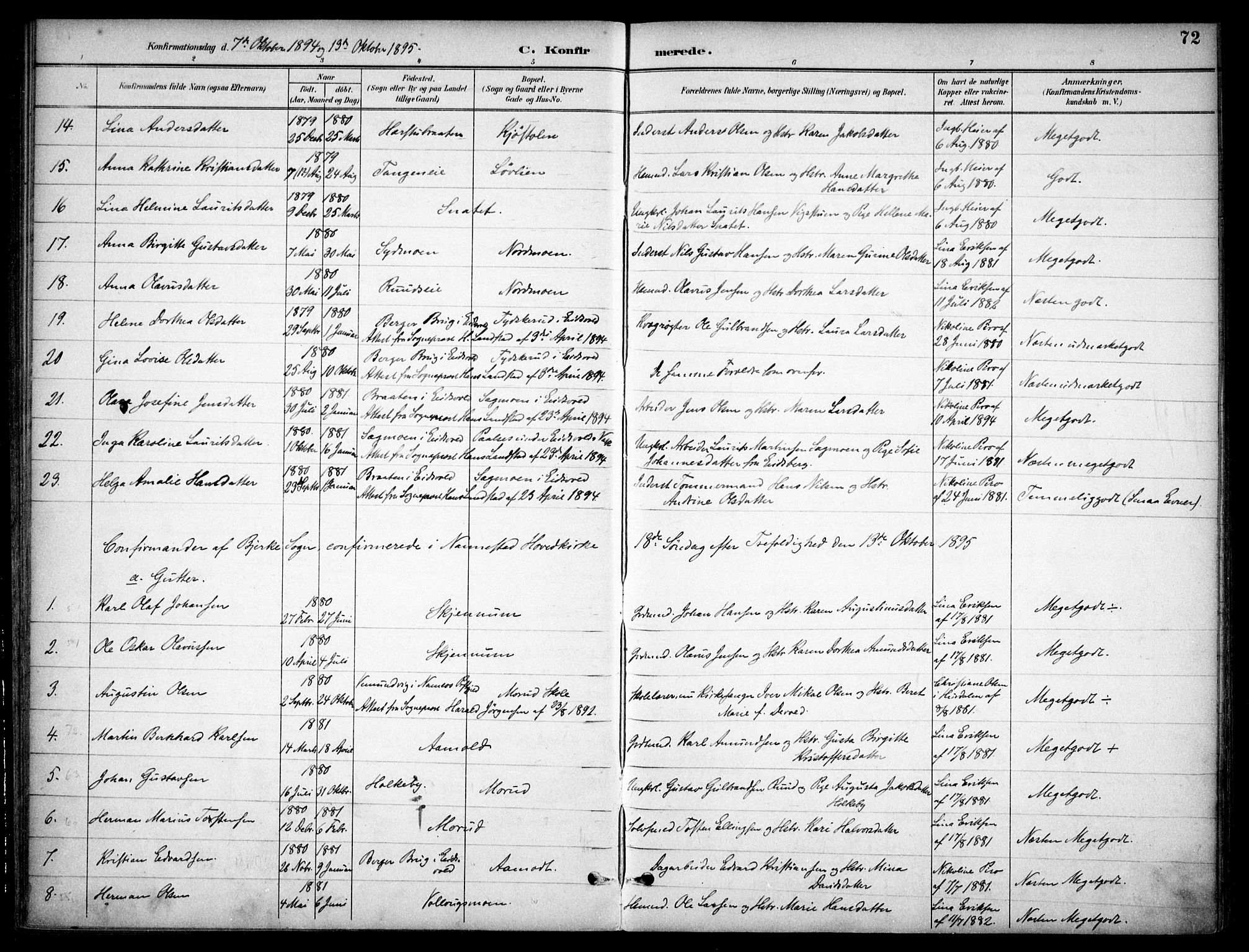 Nannestad prestekontor Kirkebøker, AV/SAO-A-10414a/F/Fc/L0002: Ministerialbok nr. III 2, 1893-1907, s. 72
