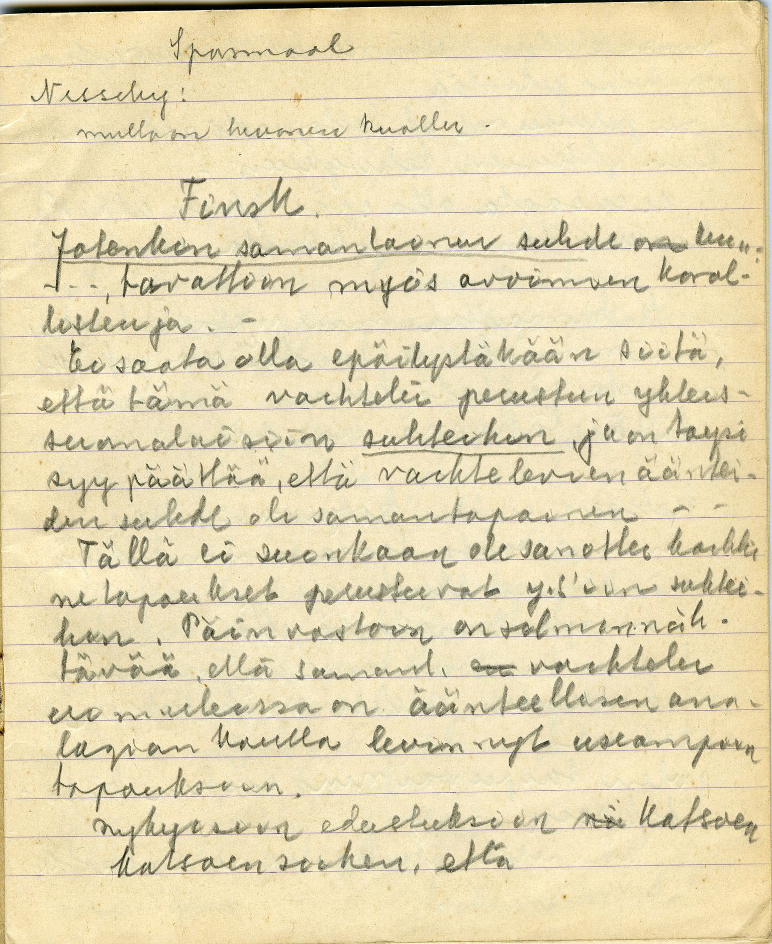 Johan Beronkas testamentariske gave, FMFB/A-1098/G/L0020: Notatbok om Nesseby–lappisk / Nesseby-dialekten (5 stykker), s. 141