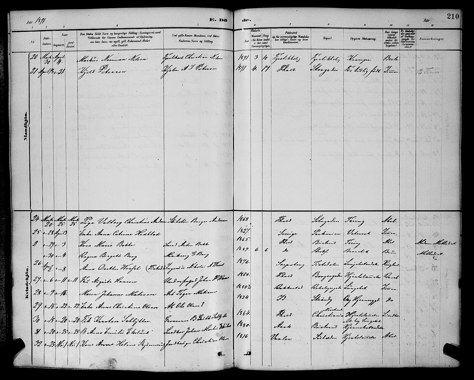 Halden prestekontor Kirkebøker, AV/SAO-A-10909/G/Ga/L0009: Klokkerbok nr. 9, 1885-1908, s. 210