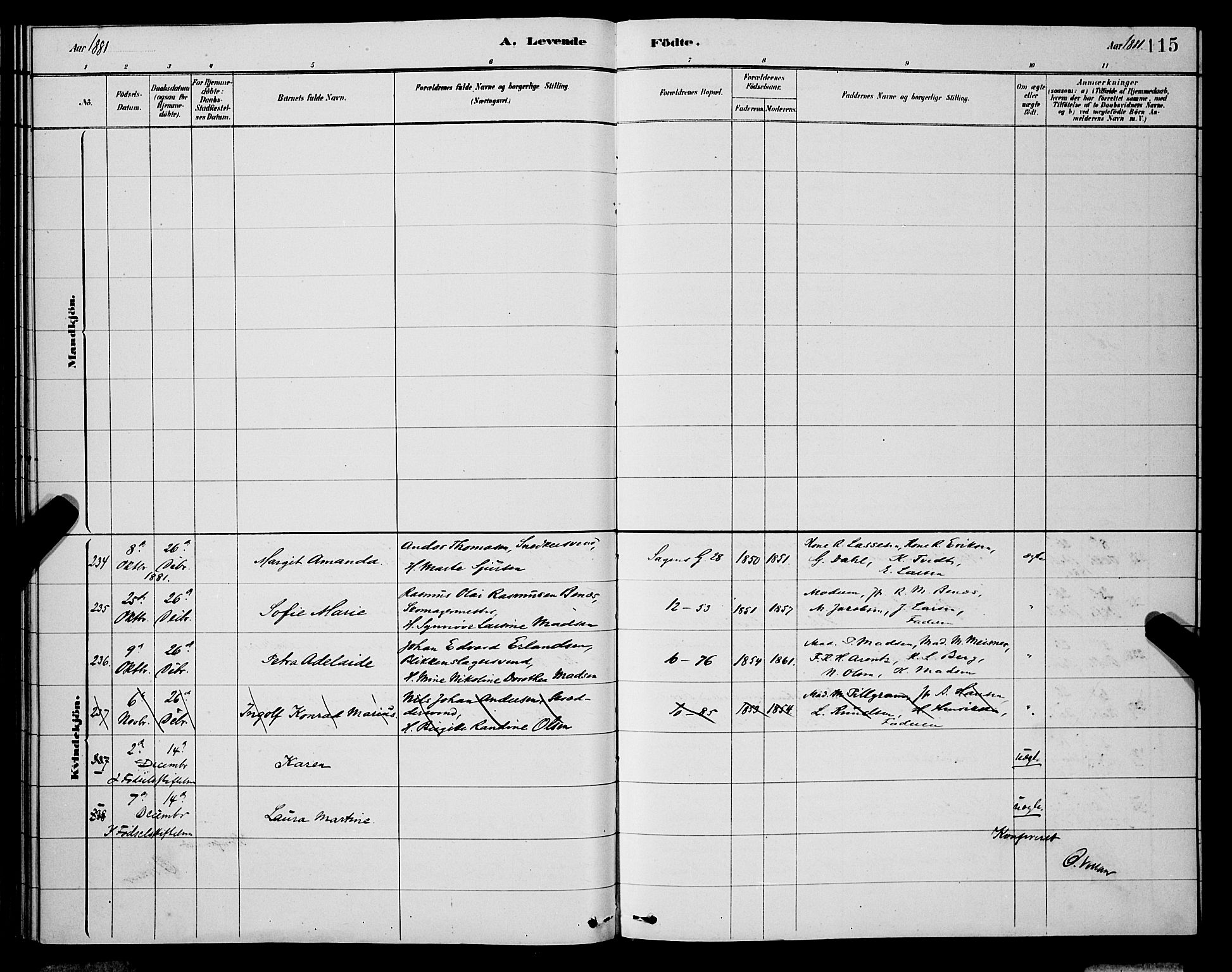 Domkirken sokneprestembete, AV/SAB-A-74801/H/Hab/L0015: Klokkerbok nr. B 8, 1879-1887, s. 115