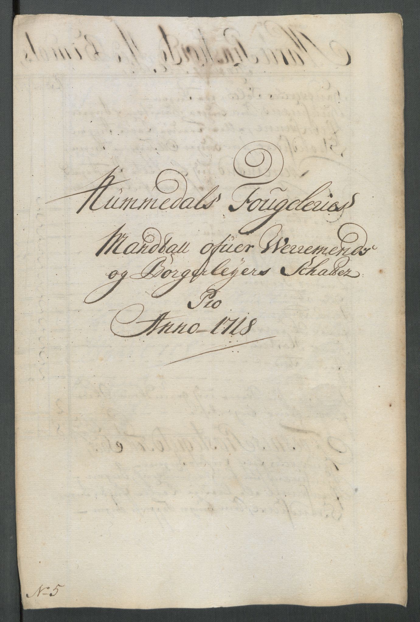 Rentekammeret inntil 1814, Reviderte regnskaper, Fogderegnskap, RA/EA-4092/R64/L4439: Fogderegnskap Namdal, 1718, s. 110