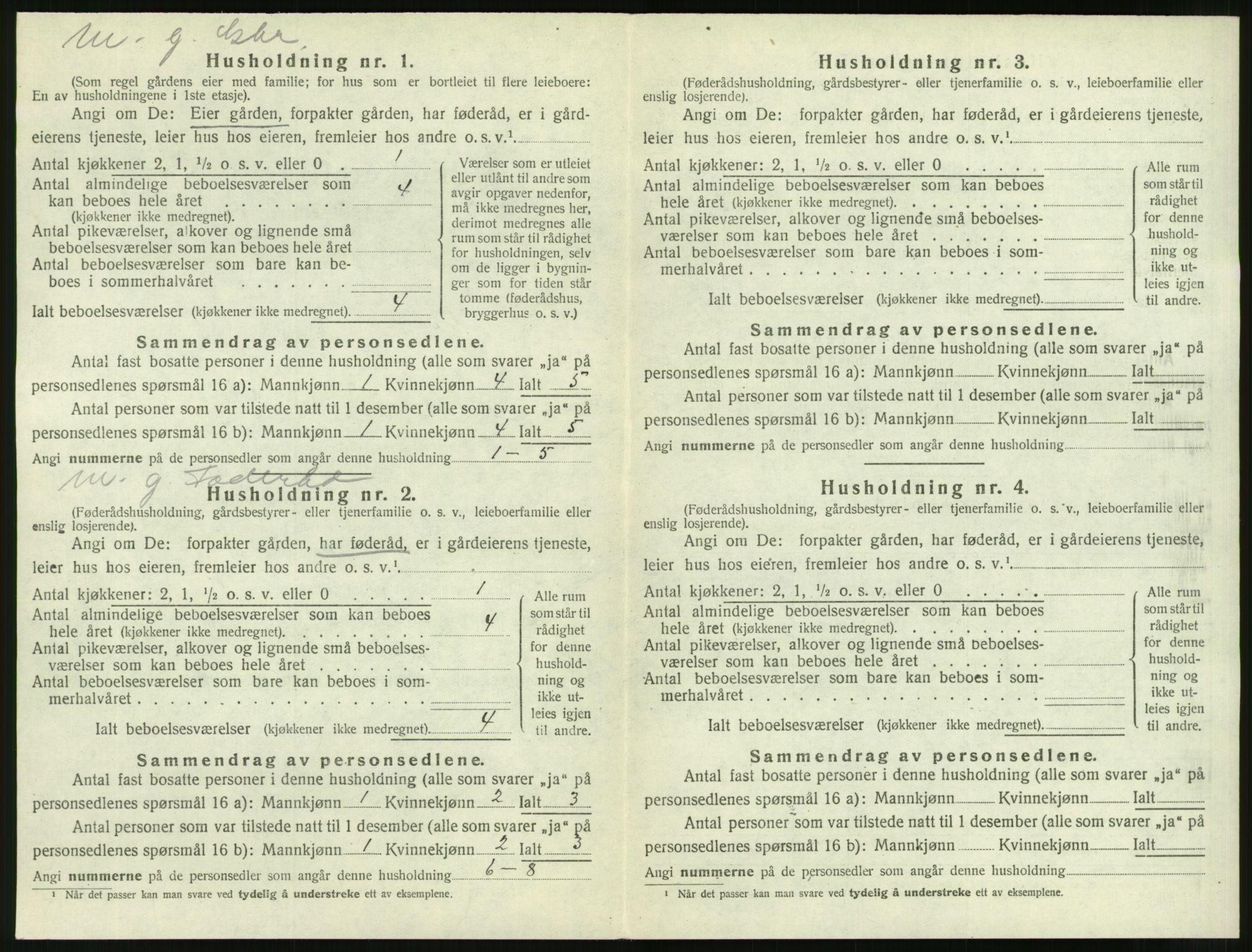 SAT, Folketelling 1920 for 1541 Veøy herred, 1920, s. 204