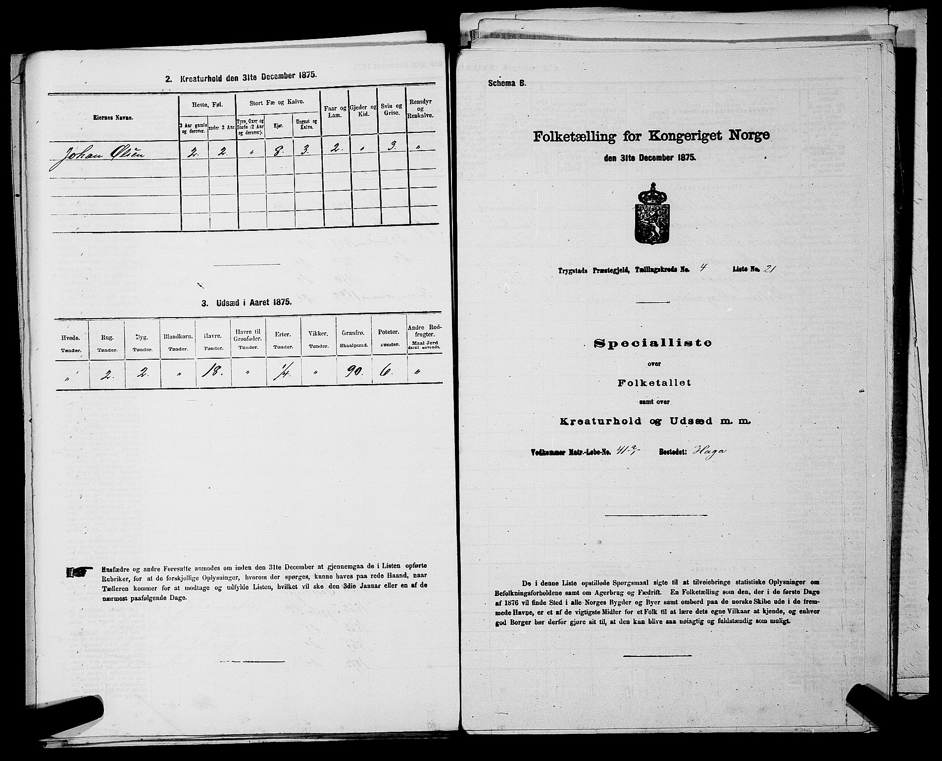 RA, Folketelling 1875 for 0122P Trøgstad prestegjeld, 1875, s. 413