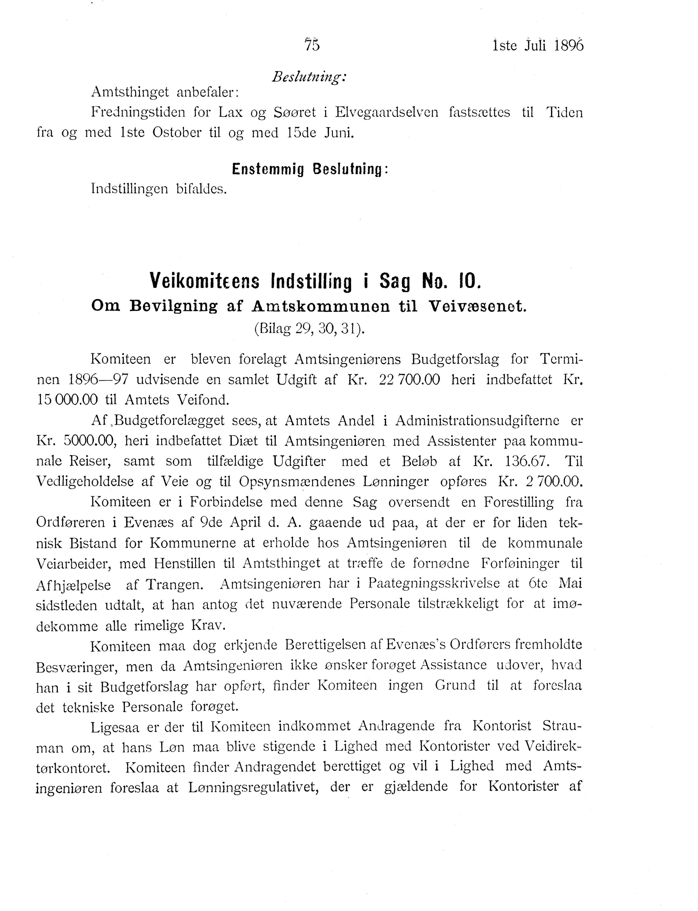 Nordland Fylkeskommune. Fylkestinget, AIN/NFK-17/176/A/Ac/L0019: Fylkestingsforhandlinger 1896, 1896