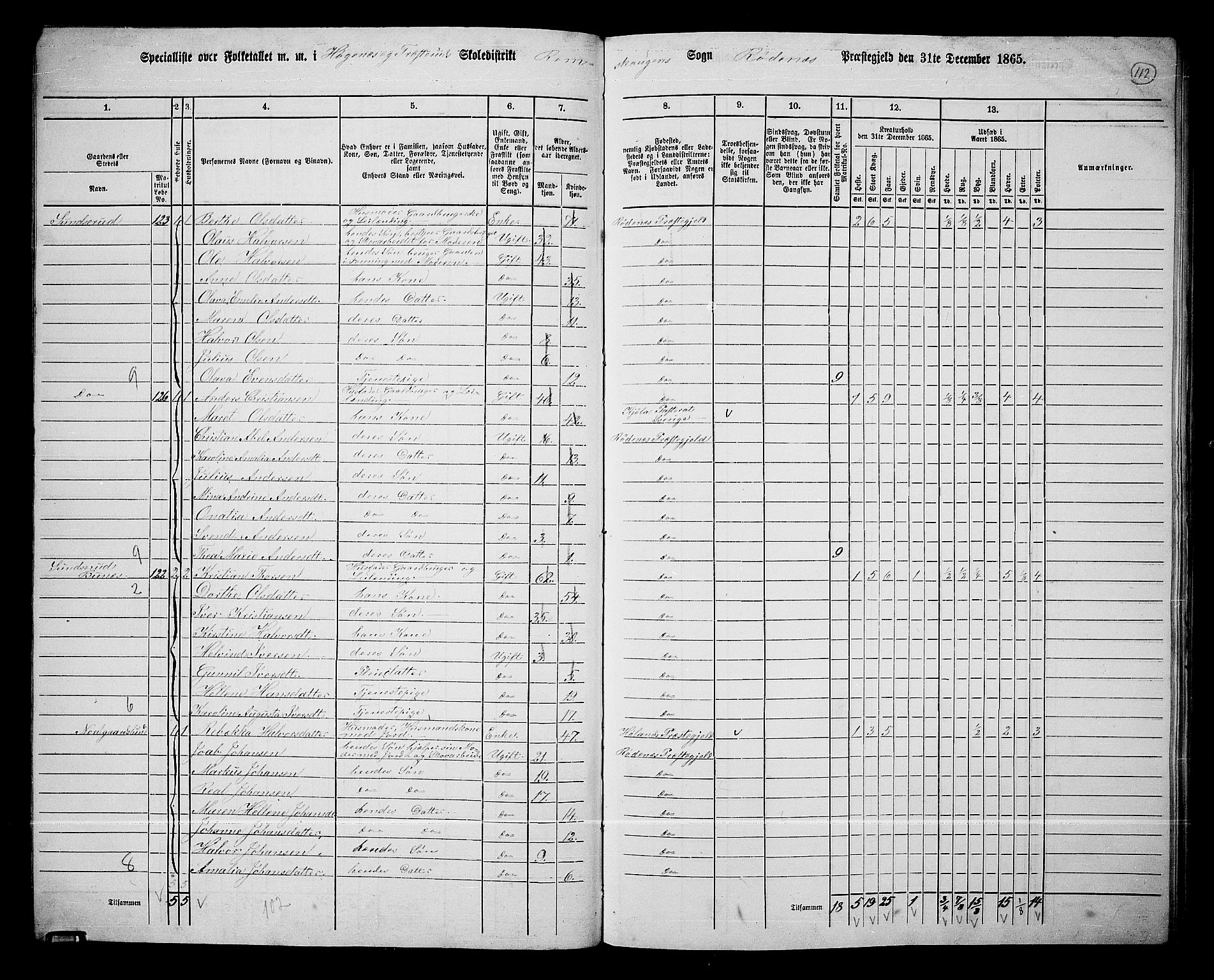 RA, Folketelling 1865 for 0120P Rødenes prestegjeld, 1865, s. 97