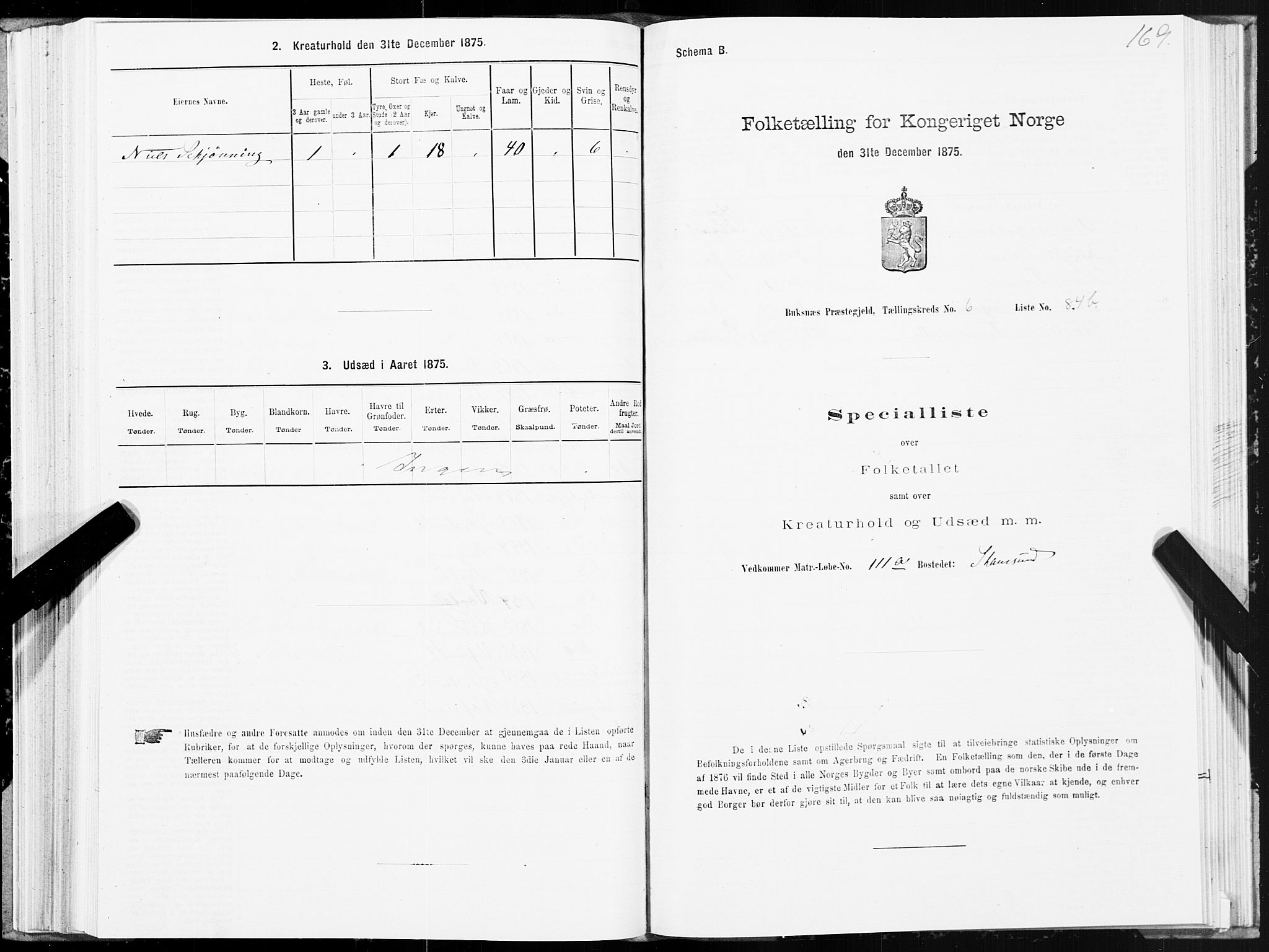 SAT, Folketelling 1875 for 1860P Buksnes prestegjeld, 1875, s. 3169