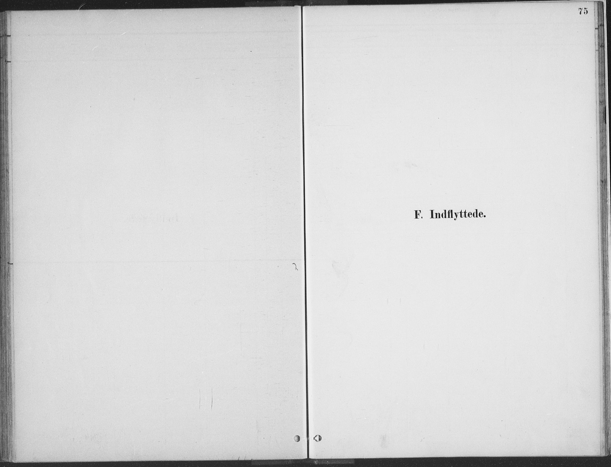 Kvinesdal sokneprestkontor, SAK/1111-0026/F/Fa/Faa/L0004: Ministerialbok nr. A 4, 1882-1897, s. 75