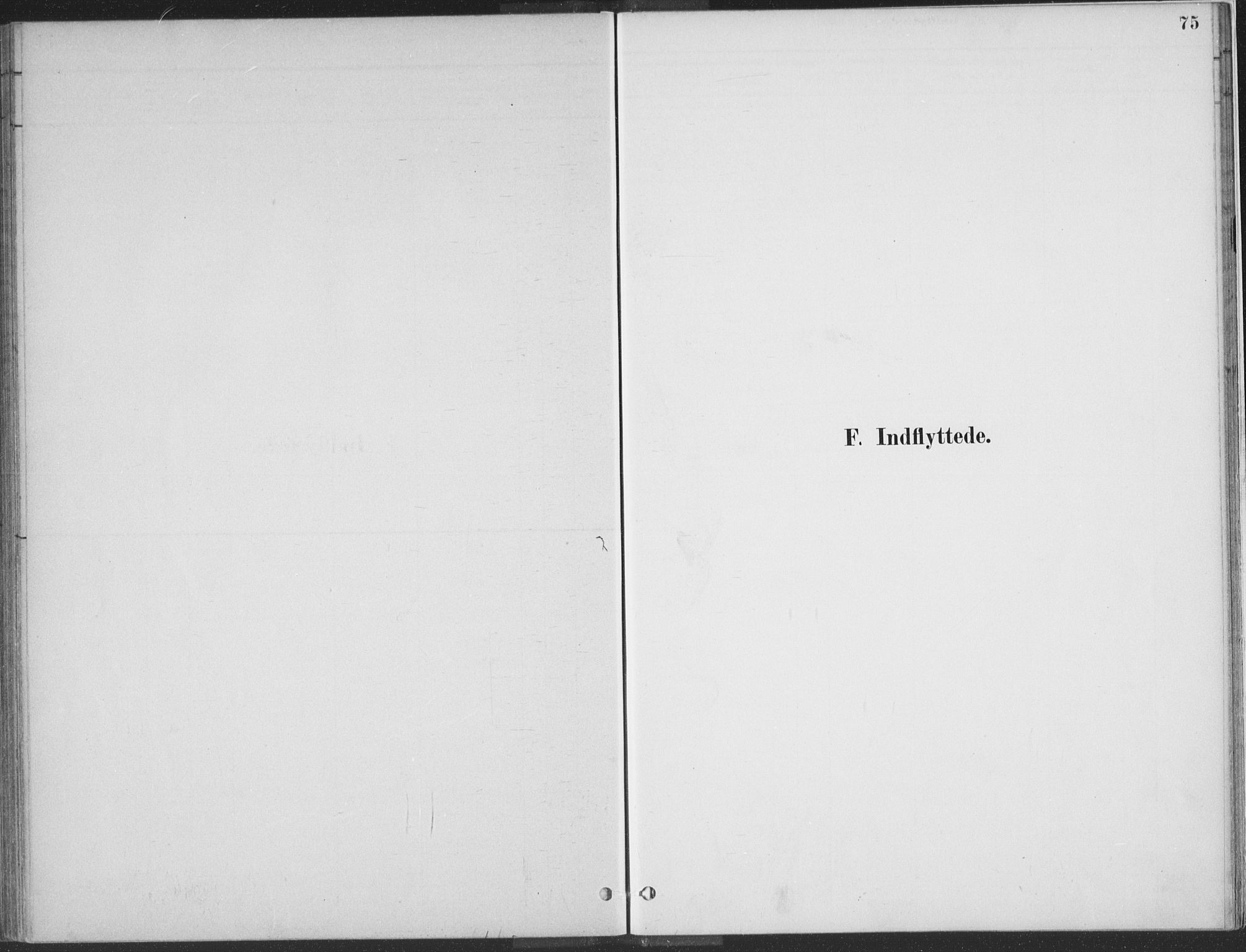 Kvinesdal sokneprestkontor, AV/SAK-1111-0026/F/Fa/Faa/L0004: Ministerialbok nr. A 4, 1882-1897, s. 75