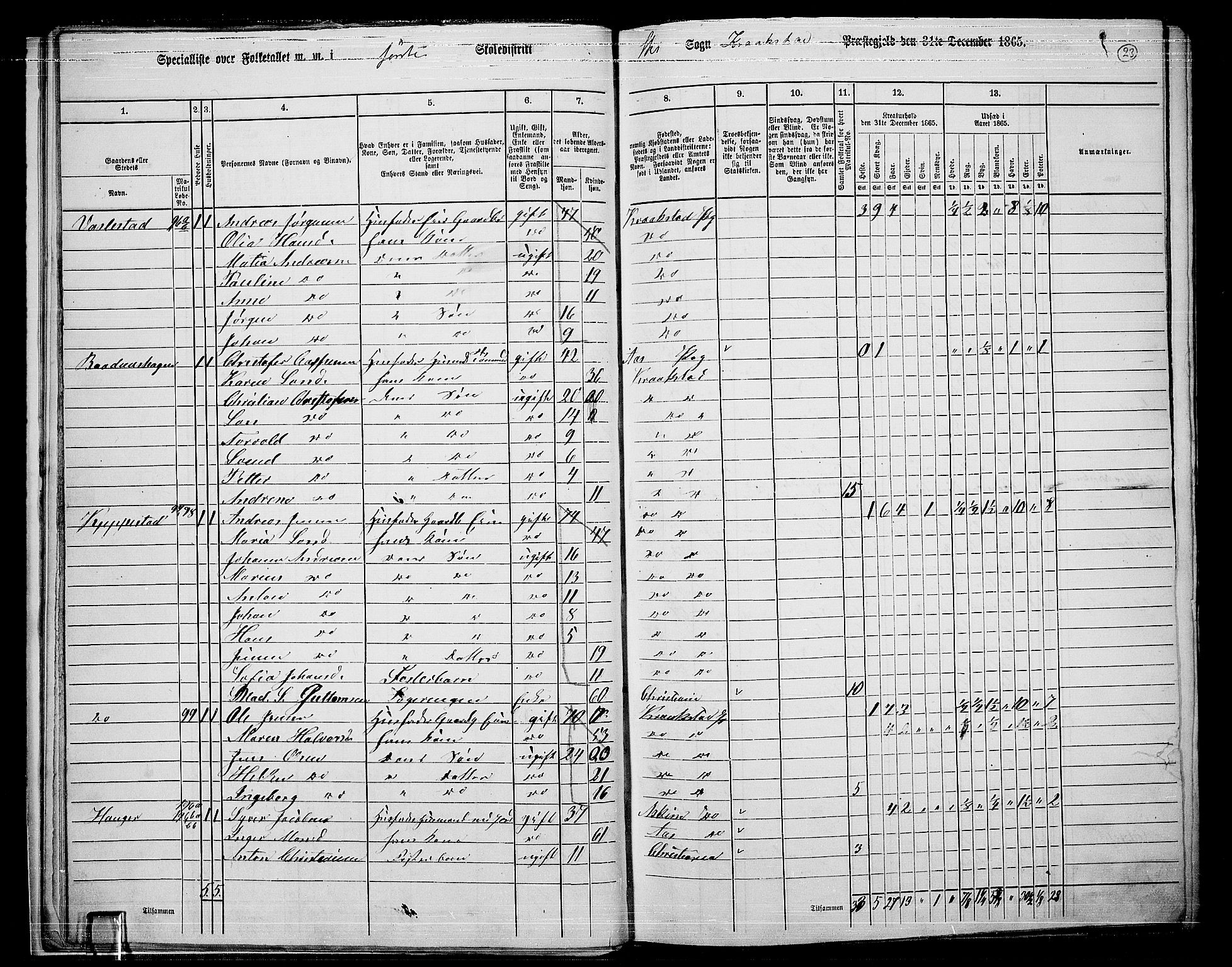 RA, Folketelling 1865 for 0212P Kråkstad prestegjeld, 1865, s. 20