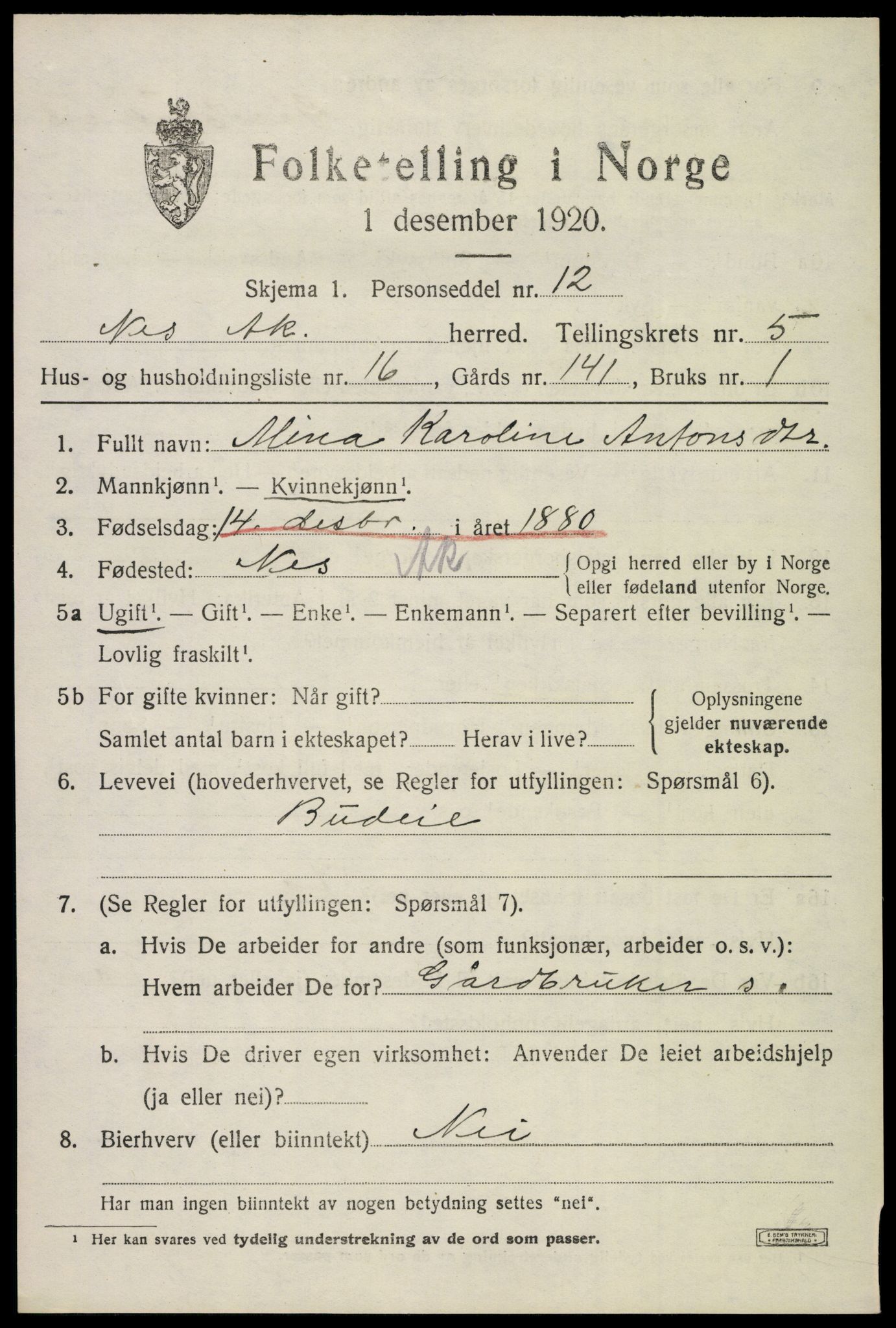 SAO, Folketelling 1920 for 0236 Nes herred, 1920, s. 6632