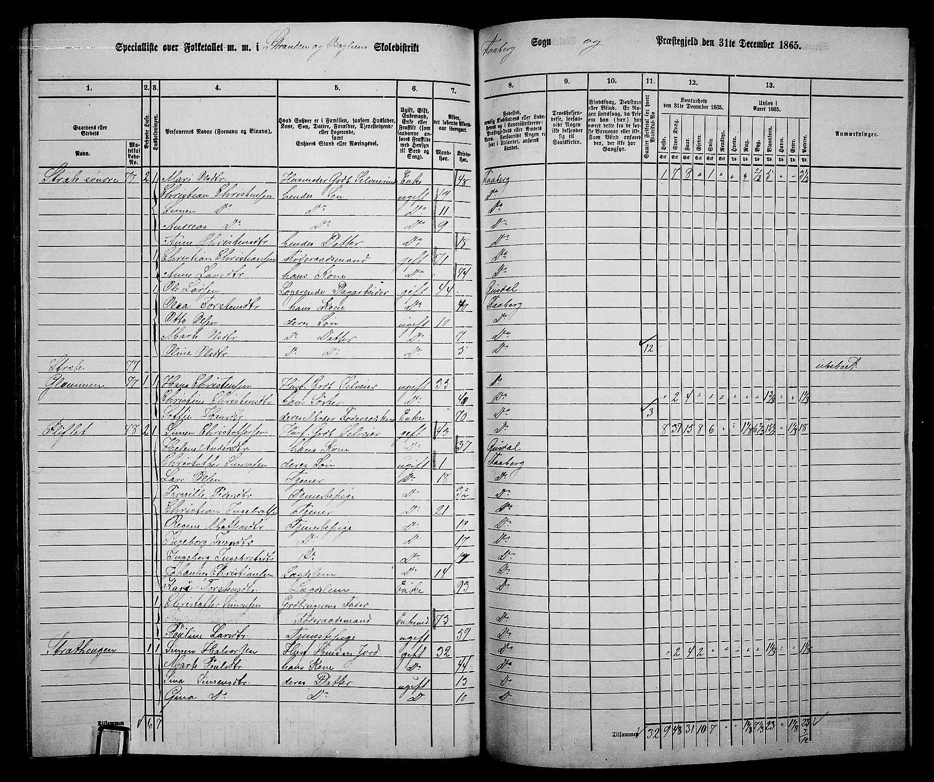 RA, Folketelling 1865 for 0524L Fåberg prestegjeld, Fåberg sokn og Lillehammer landsokn, 1865, s. 250