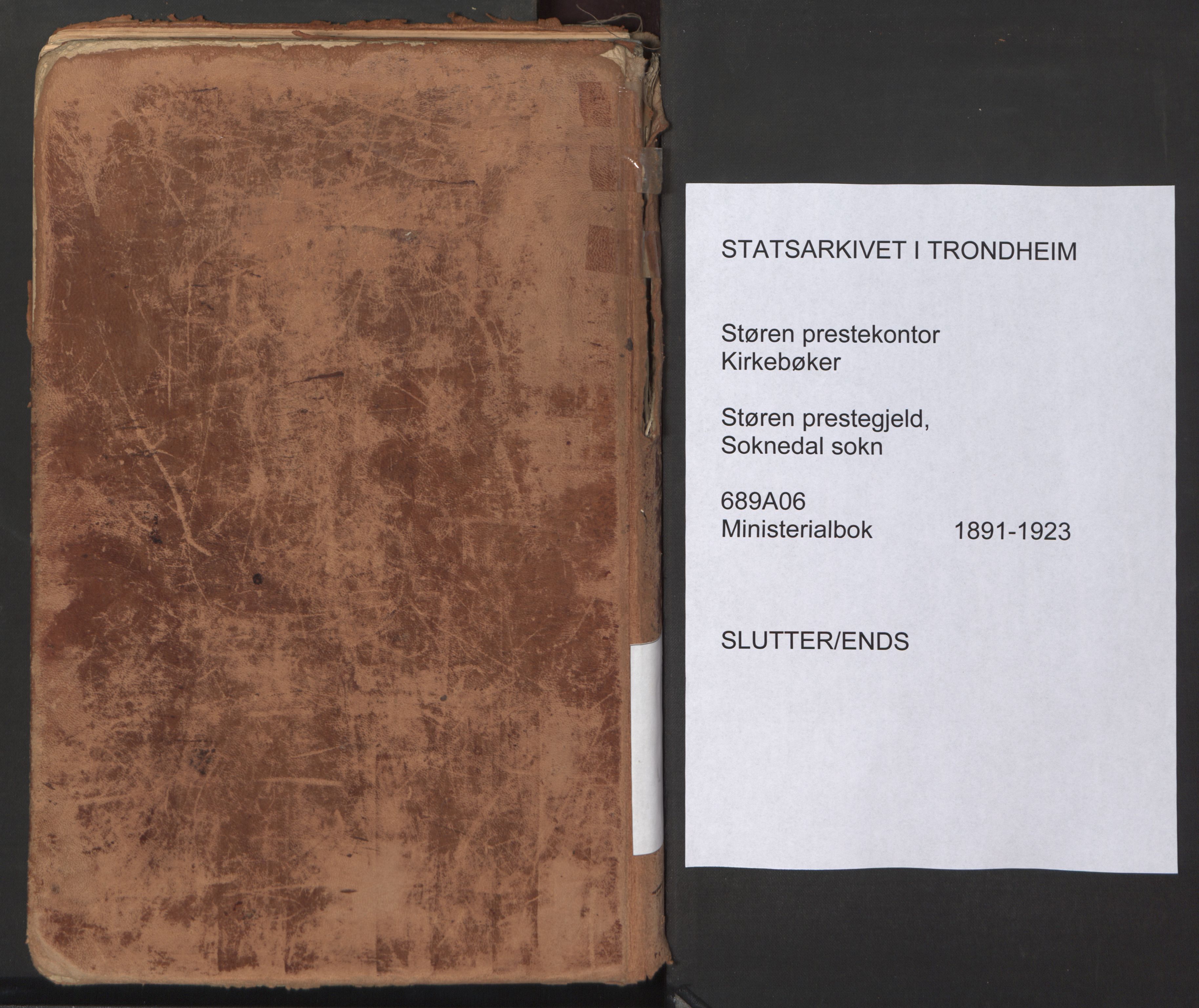 Ministerialprotokoller, klokkerbøker og fødselsregistre - Sør-Trøndelag, SAT/A-1456/689/L1041: Ministerialbok nr. 689A06, 1891-1923