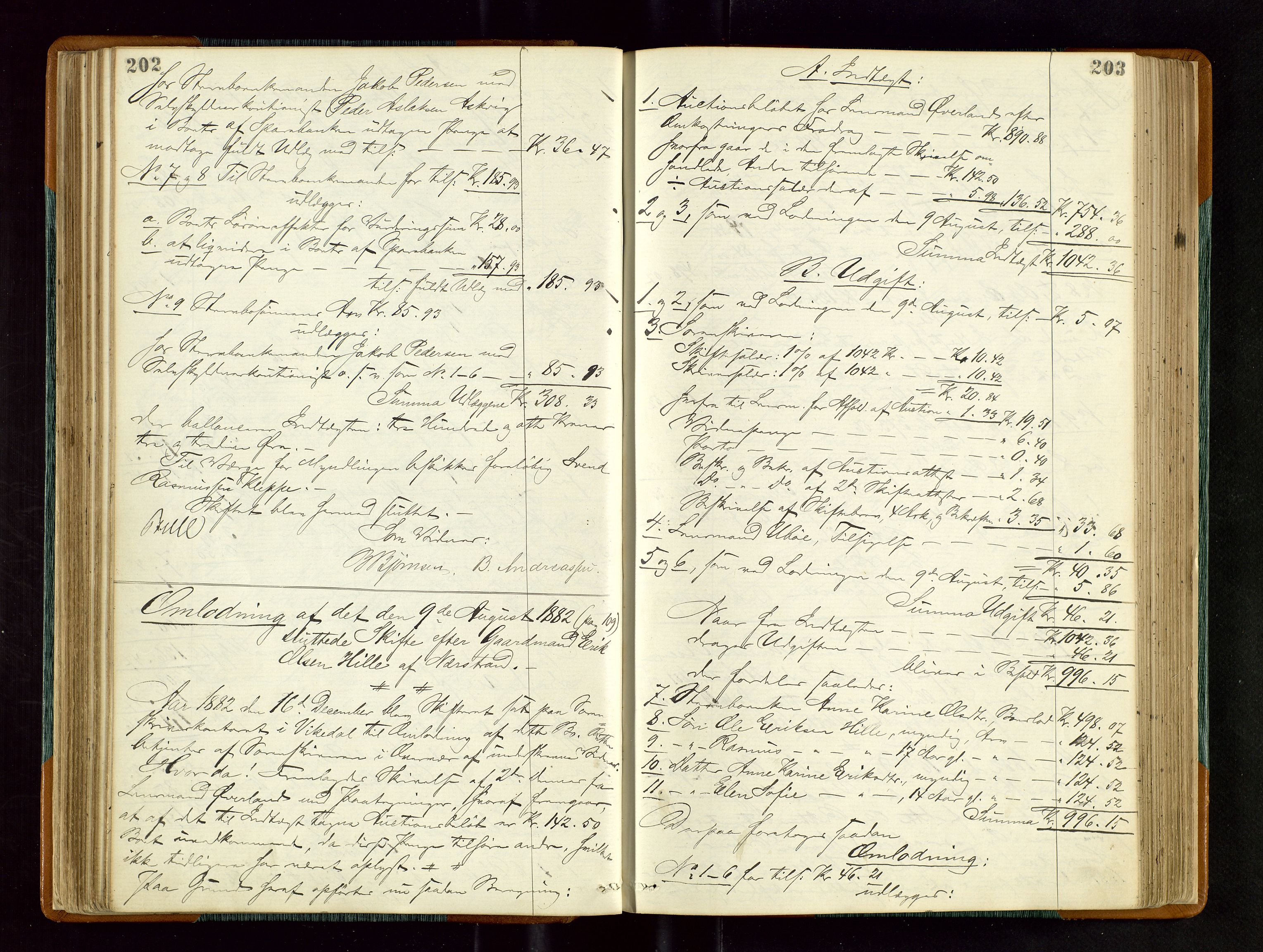 Ryfylke tingrett, AV/SAST-A-100055/001/IV/IVD/L0027: Skifteprotokoll, register i protokollen, 1881-1885, s. 202-203