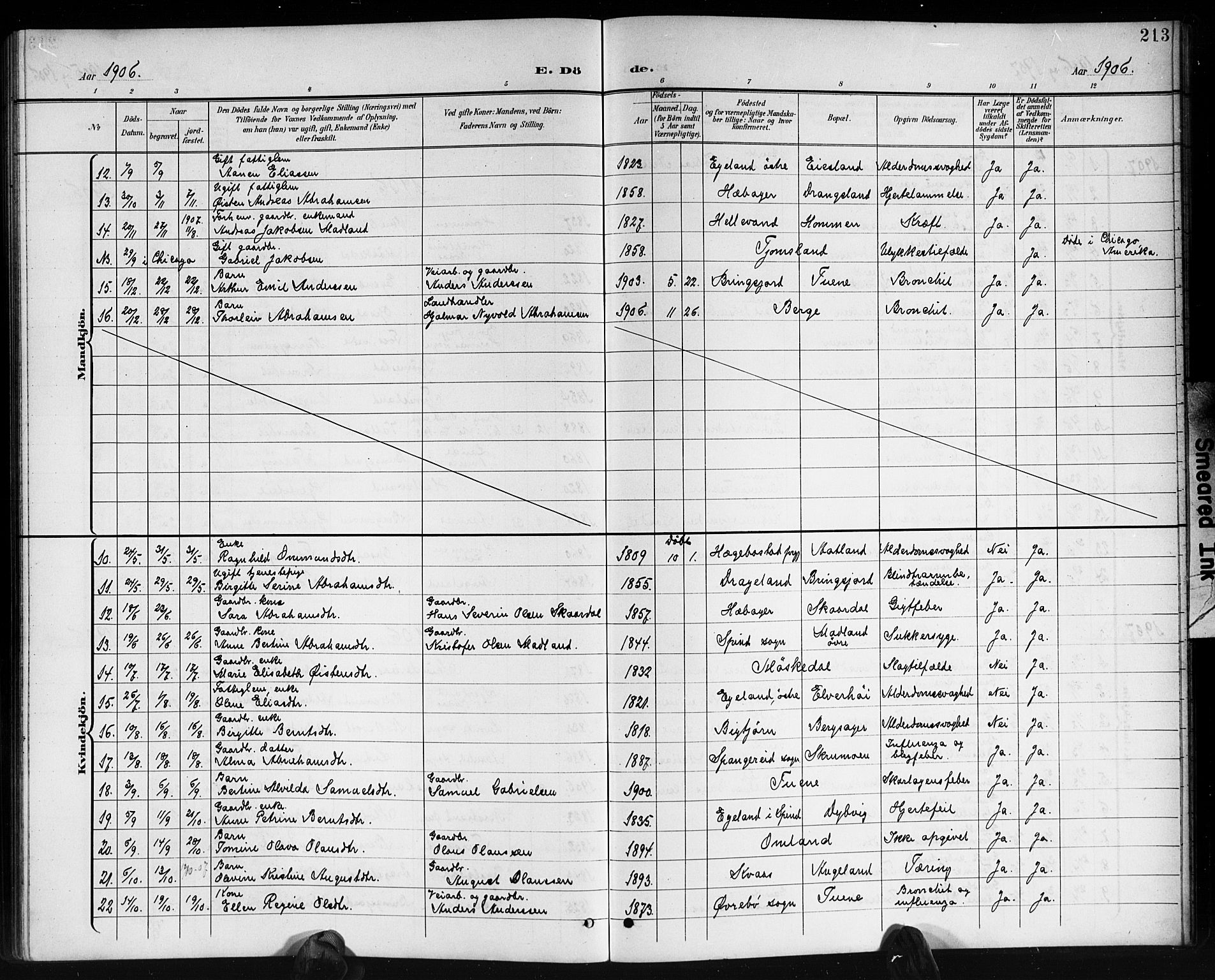 Lyngdal sokneprestkontor, AV/SAK-1111-0029/F/Fb/Fbc/L0005: Klokkerbok nr. B 5, 1897-1913, s. 213