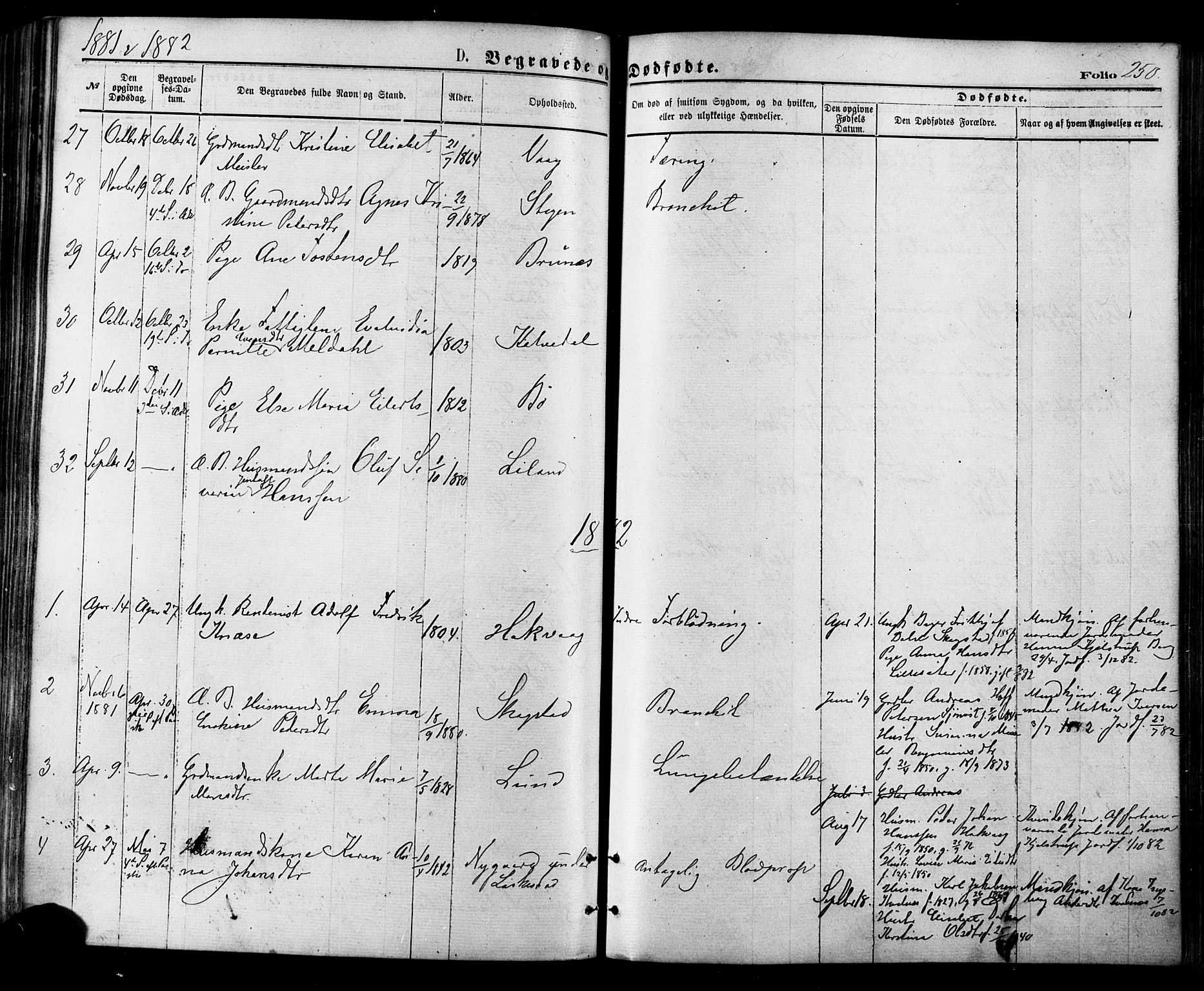 Ministerialprotokoller, klokkerbøker og fødselsregistre - Nordland, AV/SAT-A-1459/855/L0802: Ministerialbok nr. 855A10, 1875-1886, s. 250