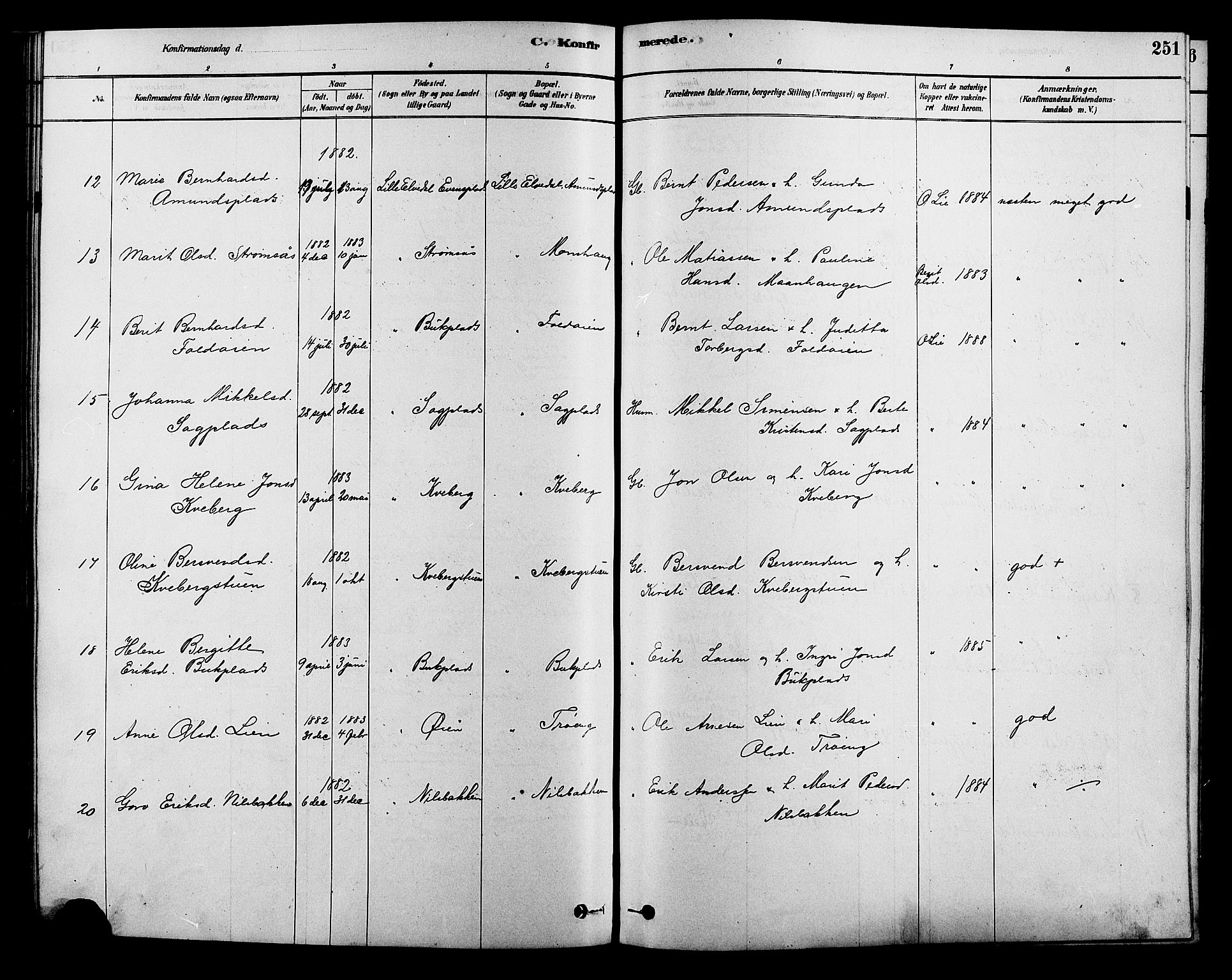 Alvdal prestekontor, SAH/PREST-060/H/Ha/Hab/L0003: Klokkerbok nr. 3, 1878-1907, s. 251