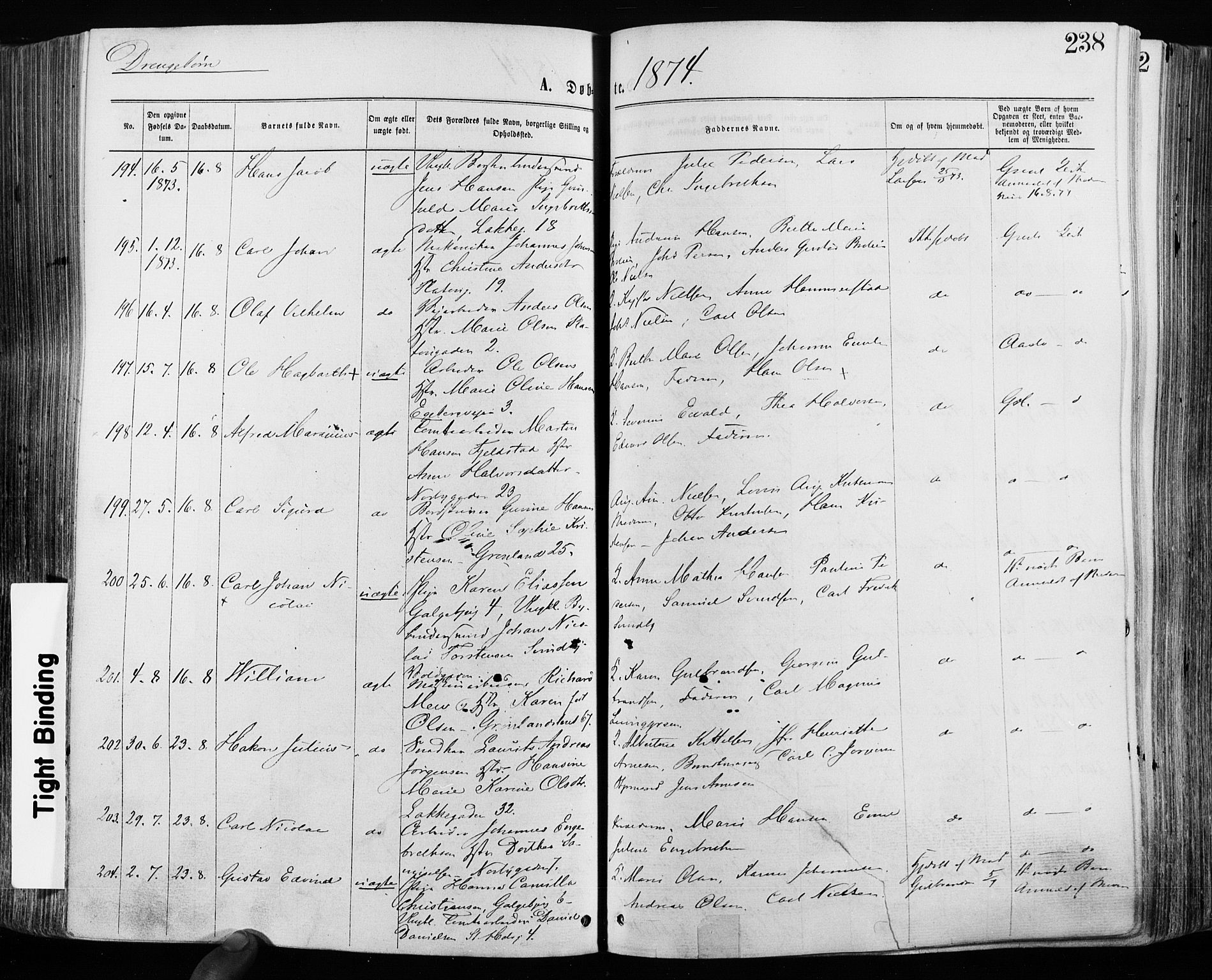 Grønland prestekontor Kirkebøker, SAO/A-10848/F/Fa/L0004: Ministerialbok nr. 4, 1869-1880, s. 238