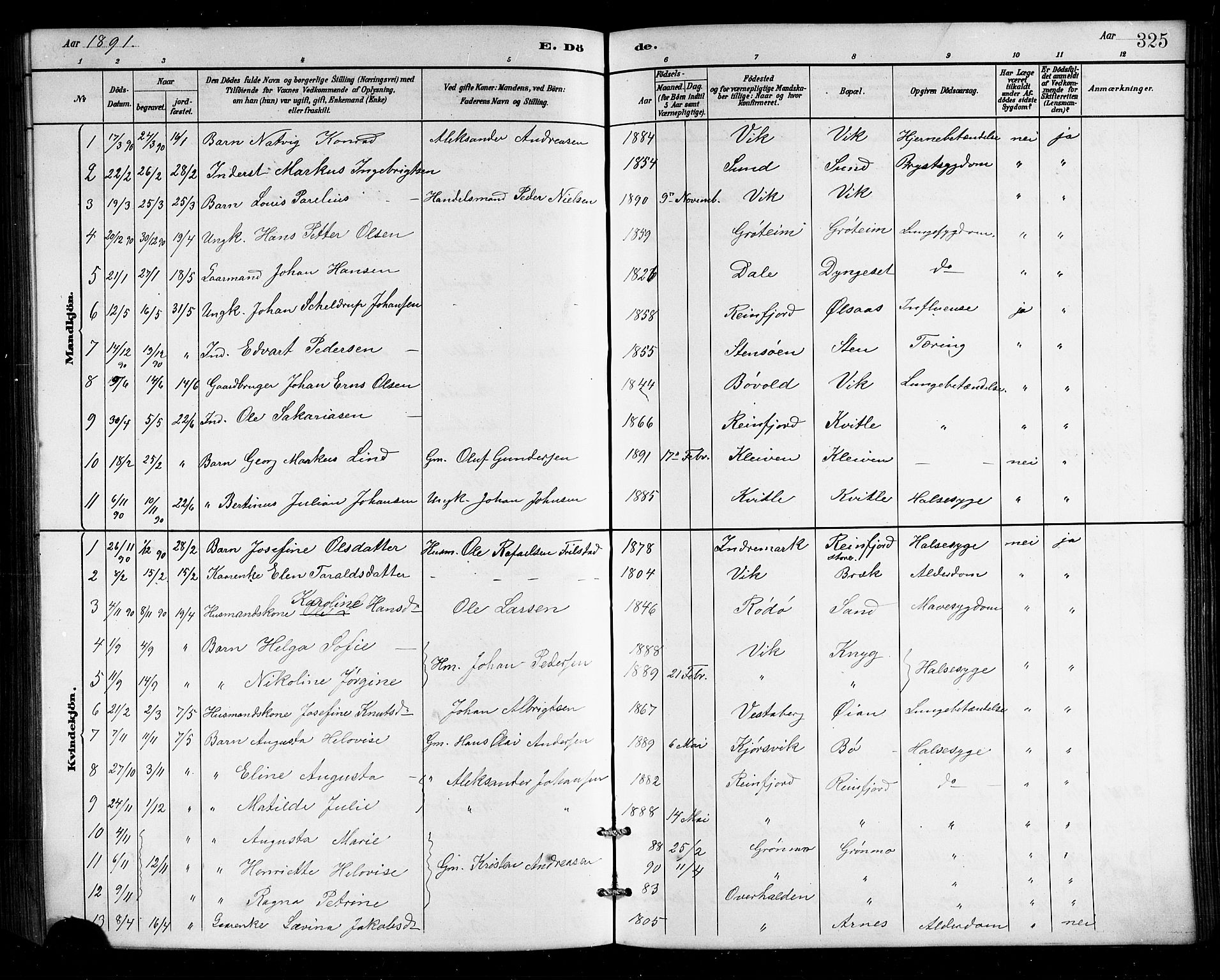 Ministerialprotokoller, klokkerbøker og fødselsregistre - Nordland, AV/SAT-A-1459/812/L0188: Klokkerbok nr. 812C06, 1884-1912, s. 325