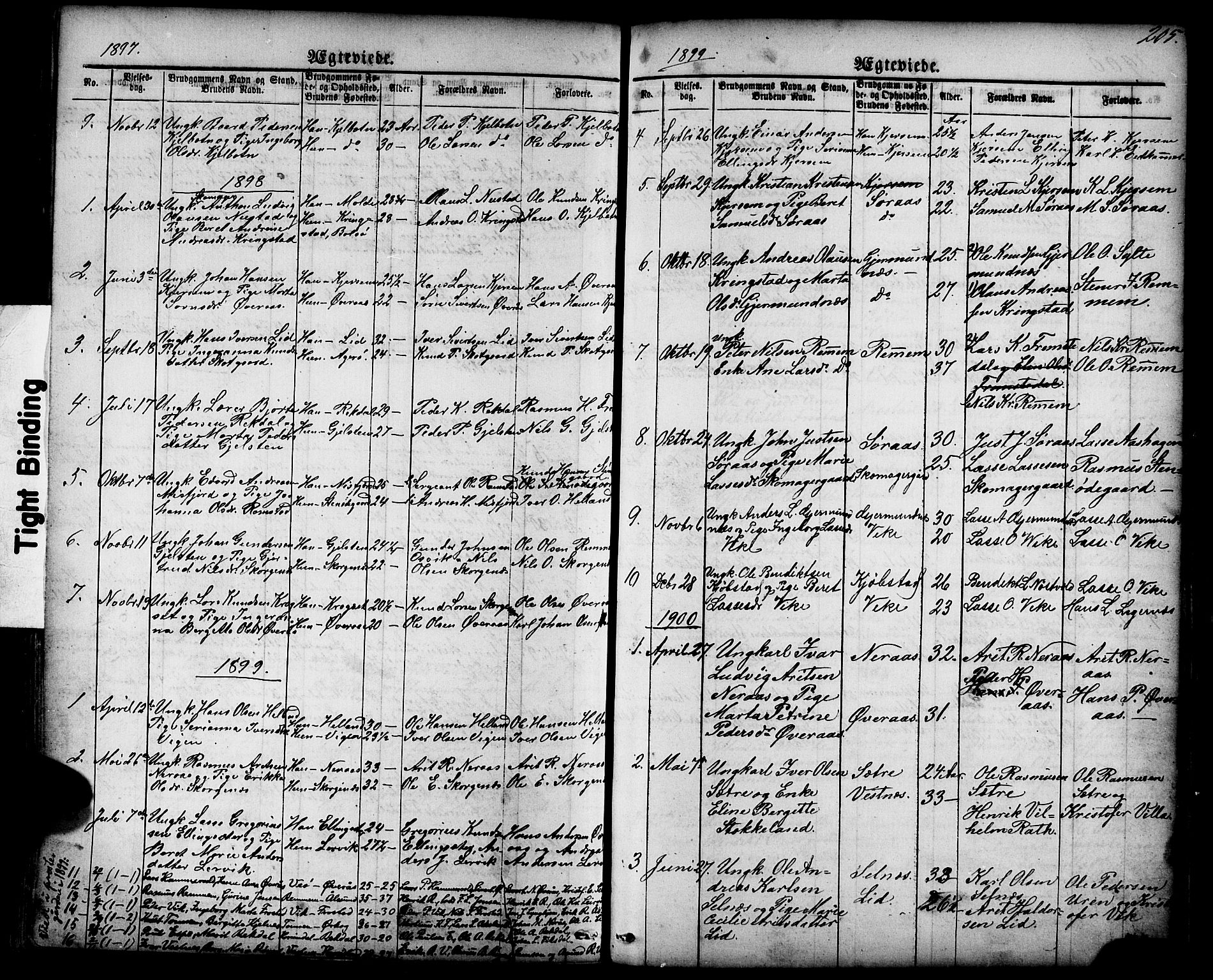 Ministerialprotokoller, klokkerbøker og fødselsregistre - Møre og Romsdal, SAT/A-1454/539/L0536: Klokkerbok nr. 539C02, 1867-1913, s. 205