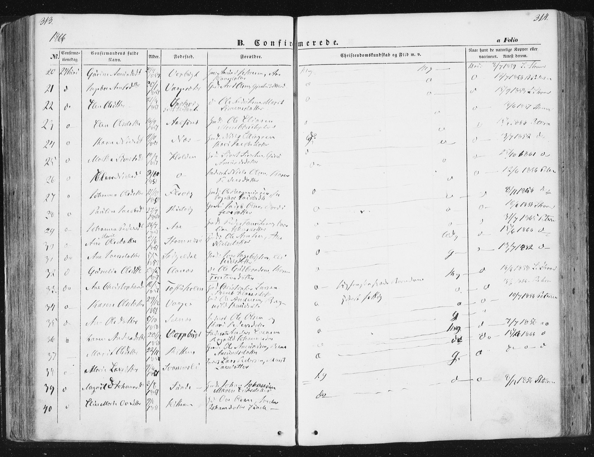 Ministerialprotokoller, klokkerbøker og fødselsregistre - Sør-Trøndelag, SAT/A-1456/630/L0494: Ministerialbok nr. 630A07, 1852-1868, s. 313-314