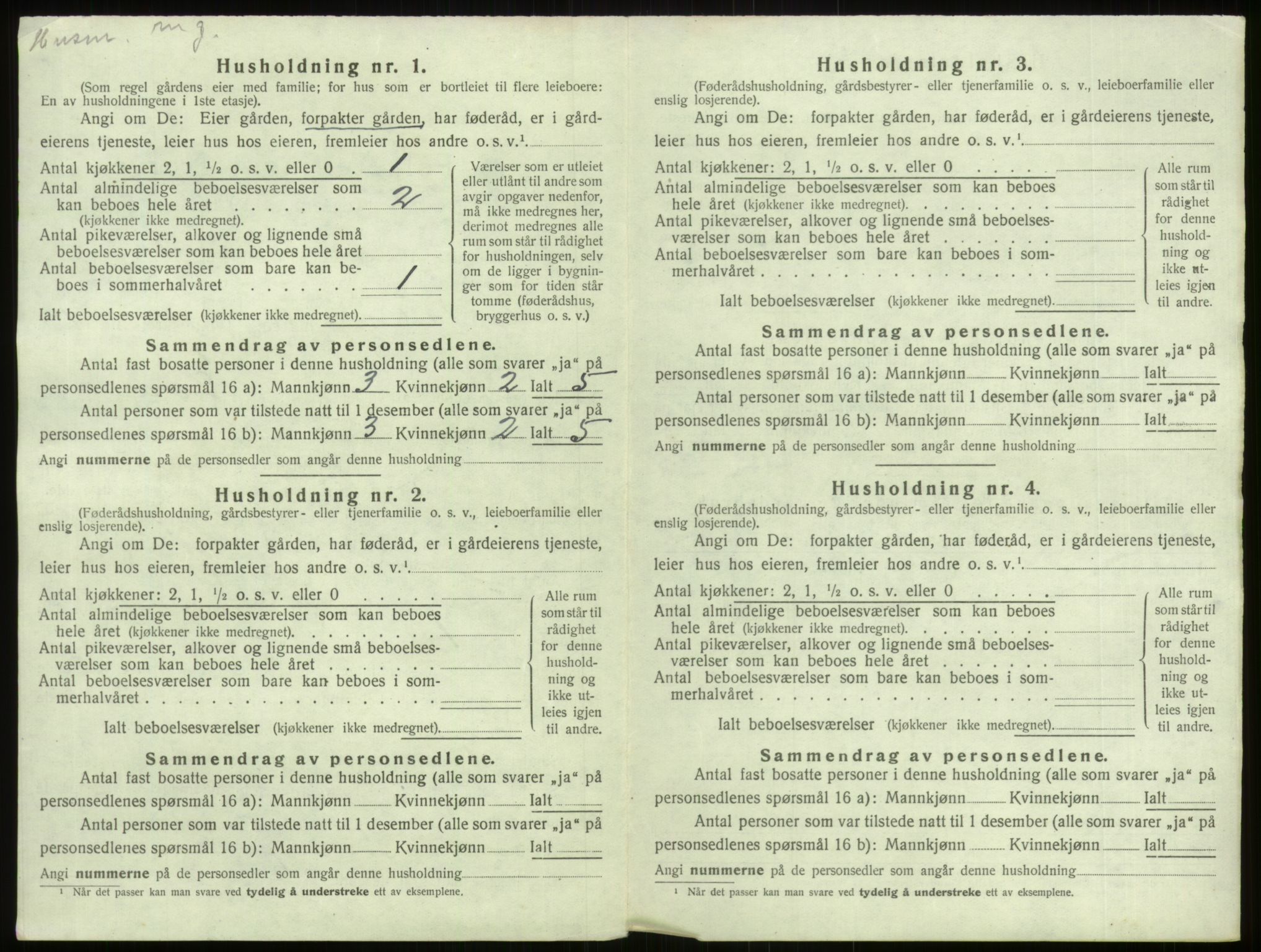 SAB, Folketelling 1920 for 1424 Årdal herred, 1920, s. 33