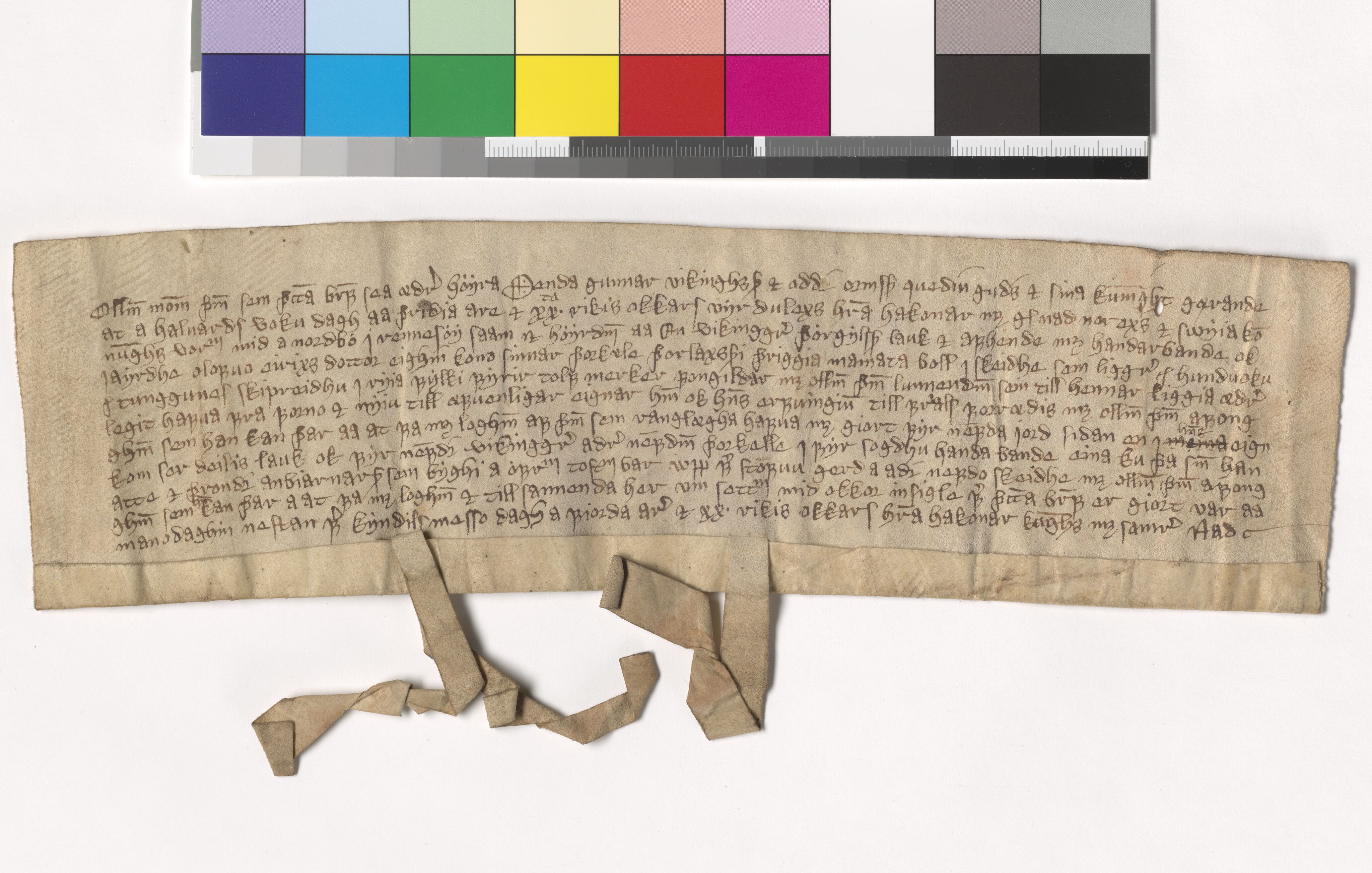 Riksarkivets diplomsamling, AV/RA-EA-5965/F05/L0112: NRA AM fasc. 36 nr. 8-12, 1378-1380, s. 5