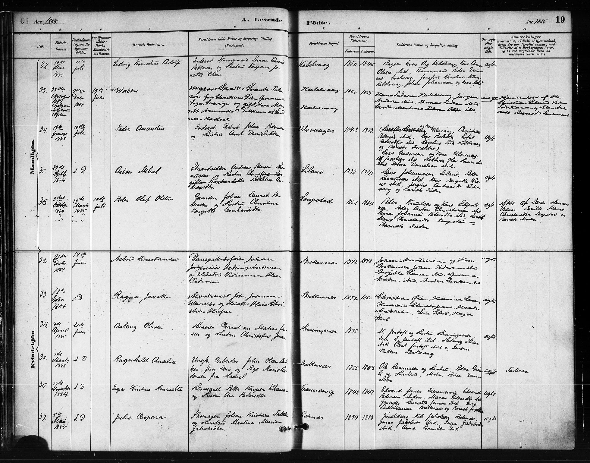 Ministerialprotokoller, klokkerbøker og fødselsregistre - Nordland, AV/SAT-A-1459/874/L1059: Ministerialbok nr. 874A03, 1884-1890, s. 19