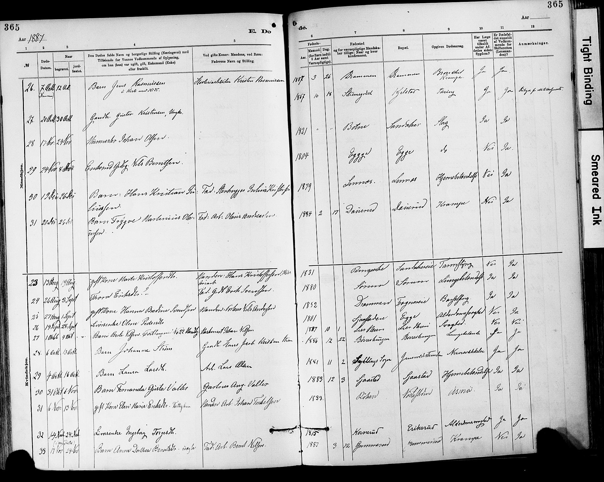 Lier kirkebøker, AV/SAKO-A-230/F/Fa/L0015: Ministerialbok nr. I 15, 1883-1894, s. 365