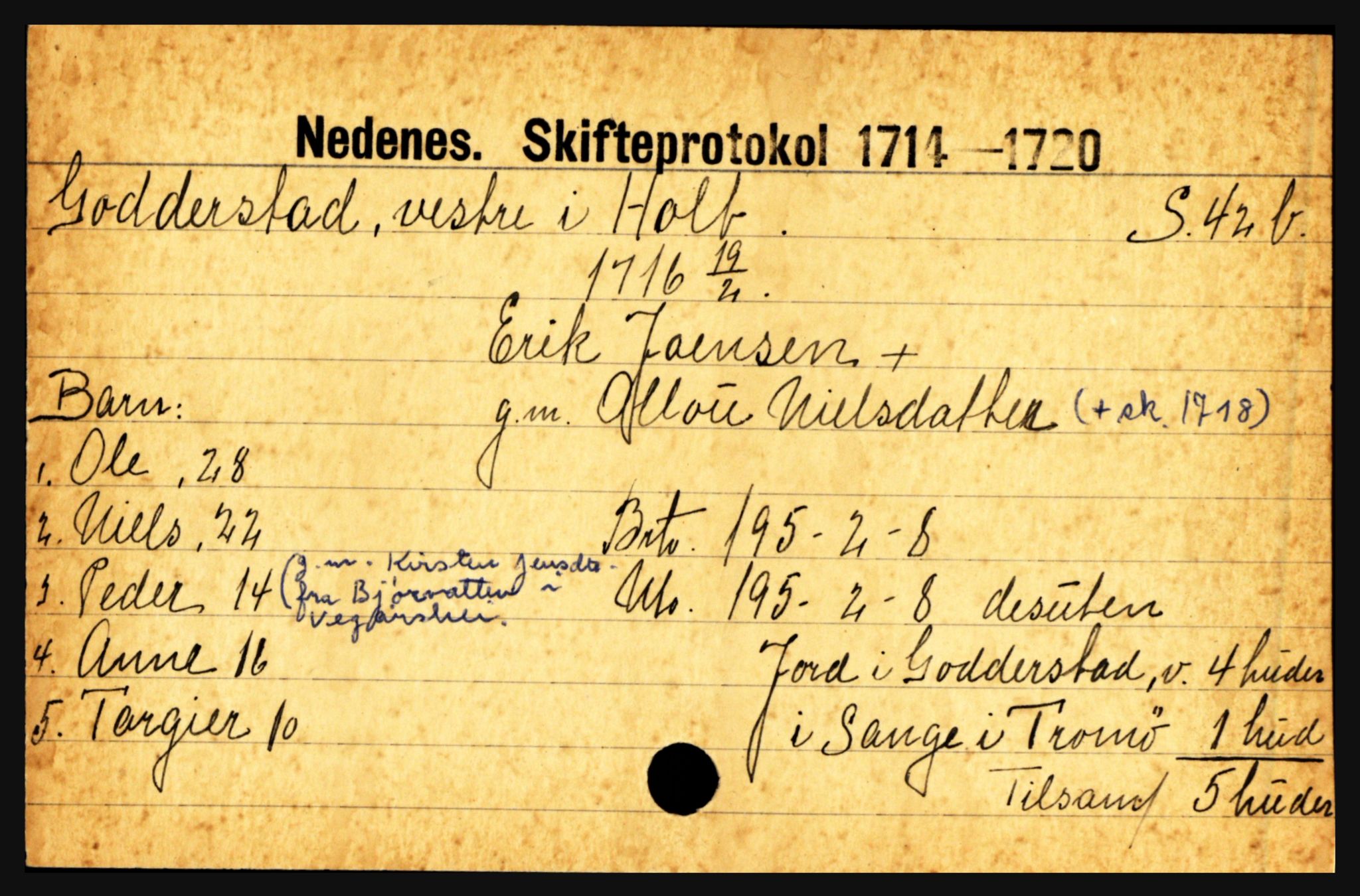 Nedenes sorenskriveri før 1824, AV/SAK-1221-0007/H, s. 9595