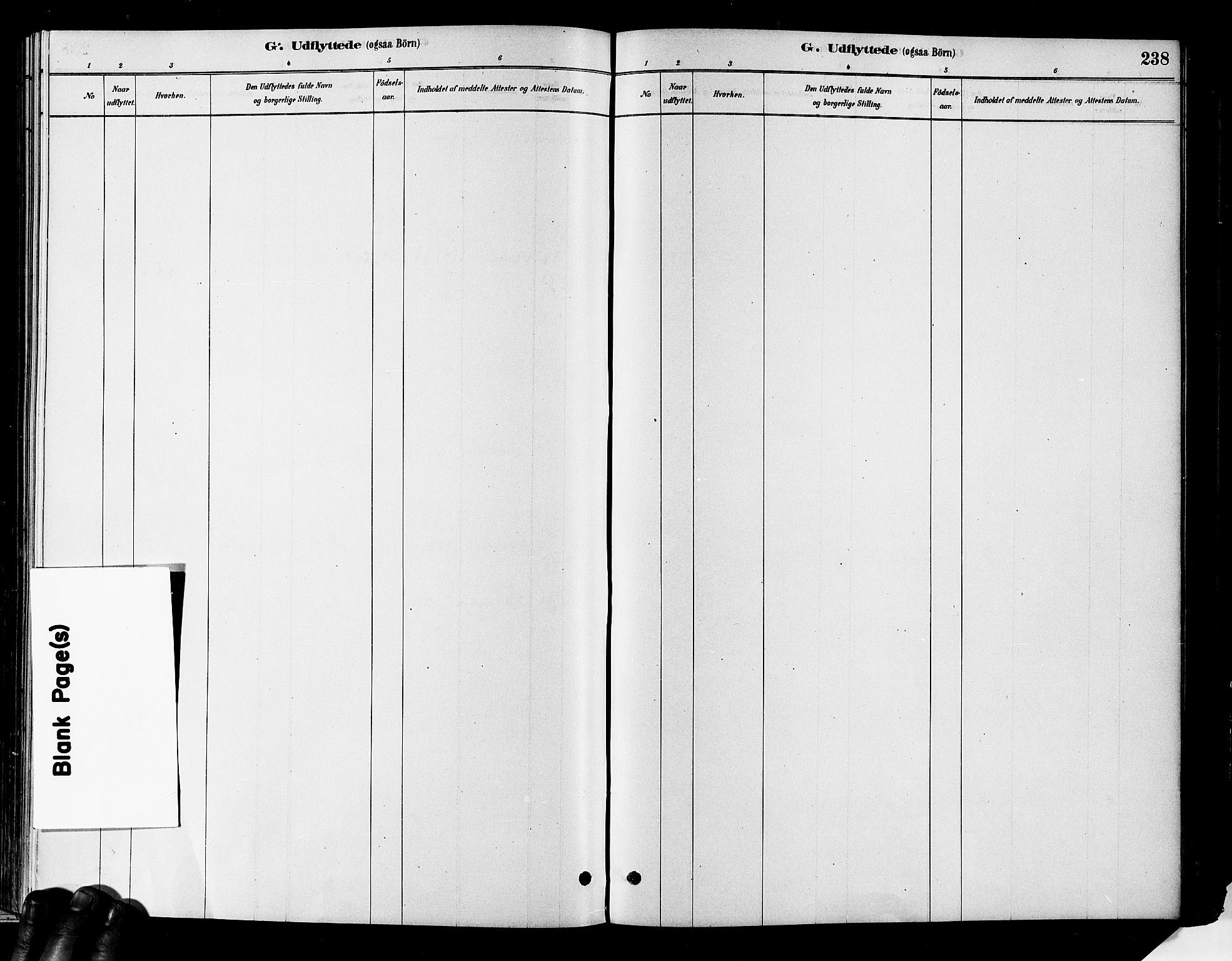 Flesberg kirkebøker, SAKO/A-18/F/Fa/L0008: Ministerialbok nr. I 8, 1879-1899, s. 238