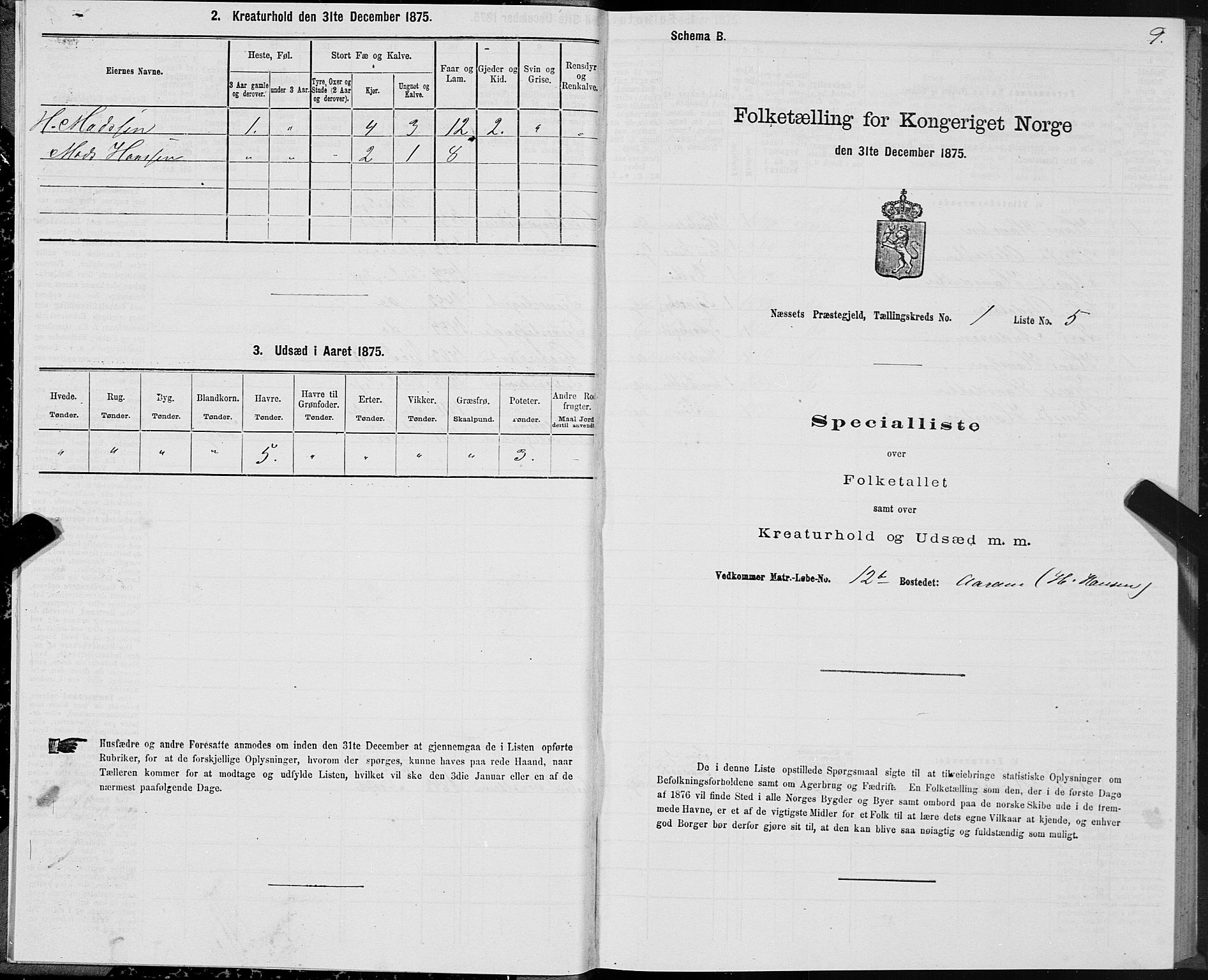 SAT, Folketelling 1875 for 1543P Nesset prestegjeld, 1875, s. 1009