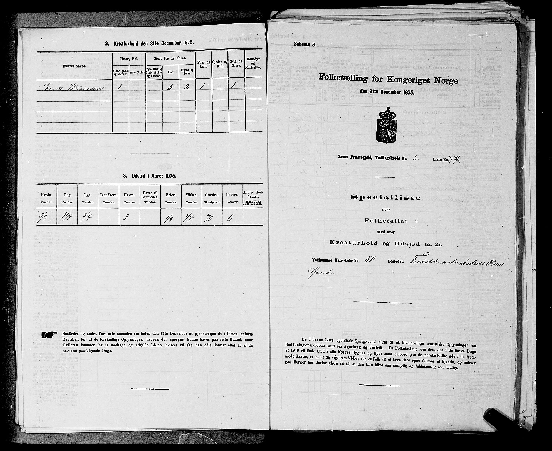 SAKO, Folketelling 1875 for 0721P Sem prestegjeld, 1875, s. 229