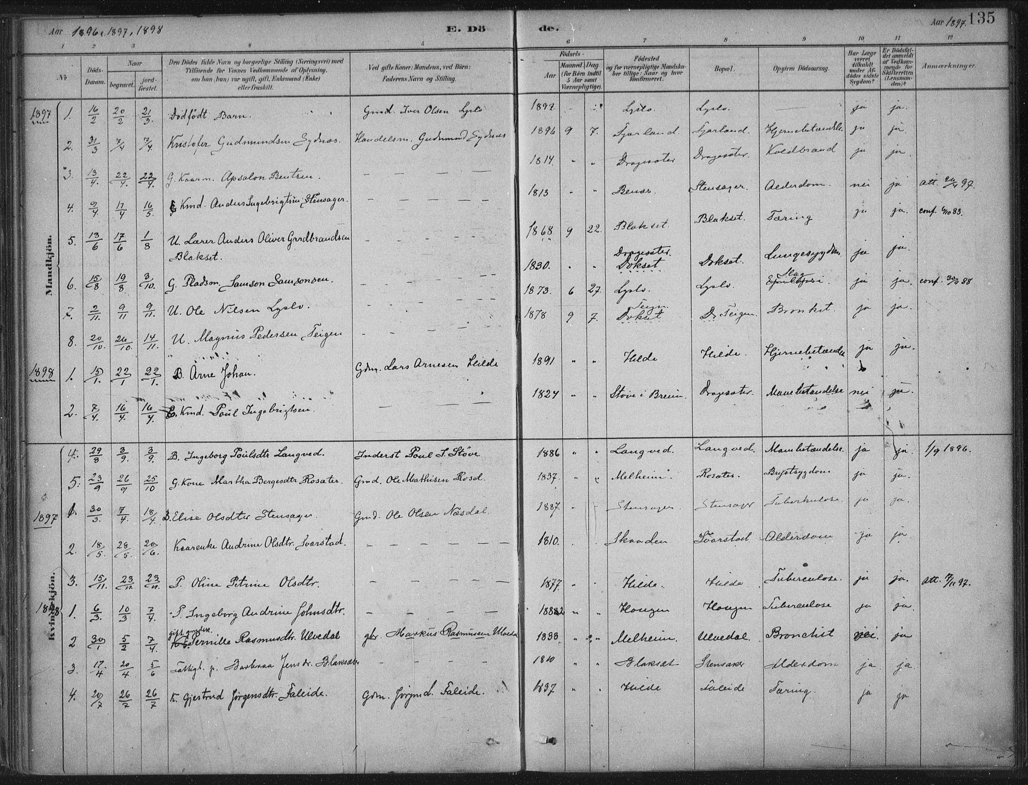 Innvik sokneprestembete, AV/SAB-A-80501: Ministerialbok nr. B  1, 1879-1902, s. 135