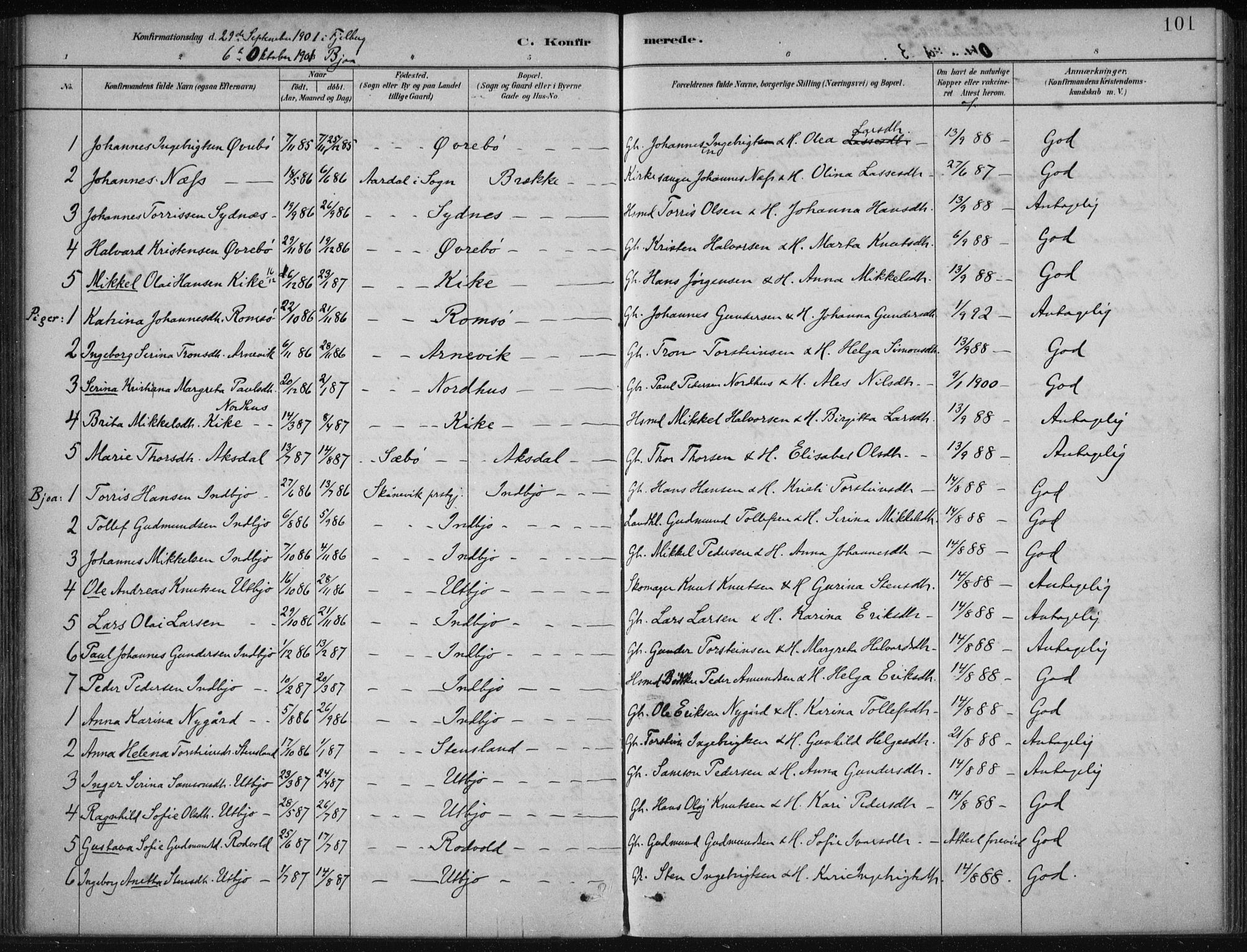 Fjelberg sokneprestembete, AV/SAB-A-75201/H/Haa: Ministerialbok nr. B  1, 1879-1919, s. 101