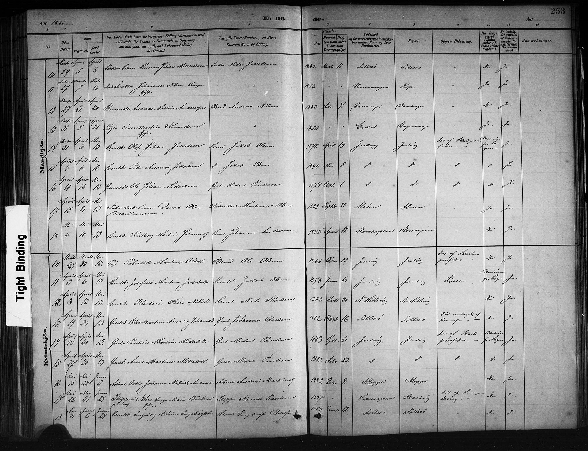 Askøy Sokneprestembete, AV/SAB-A-74101/H/Ha/Hab/Haba/L0008: Klokkerbok nr. A 8, 1882-1893, s. 253