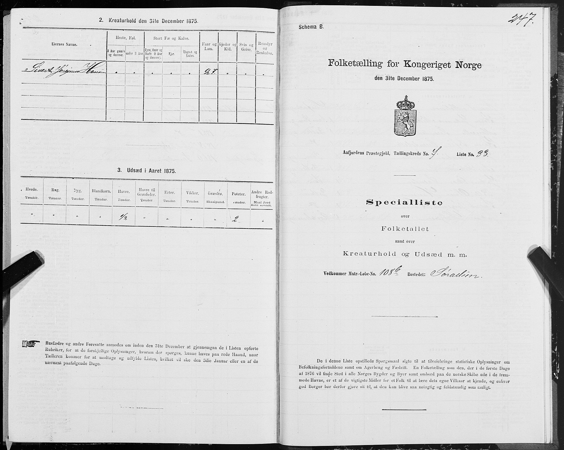 SAT, Folketelling 1875 for 1630P Aafjorden prestegjeld, 1875, s. 3247