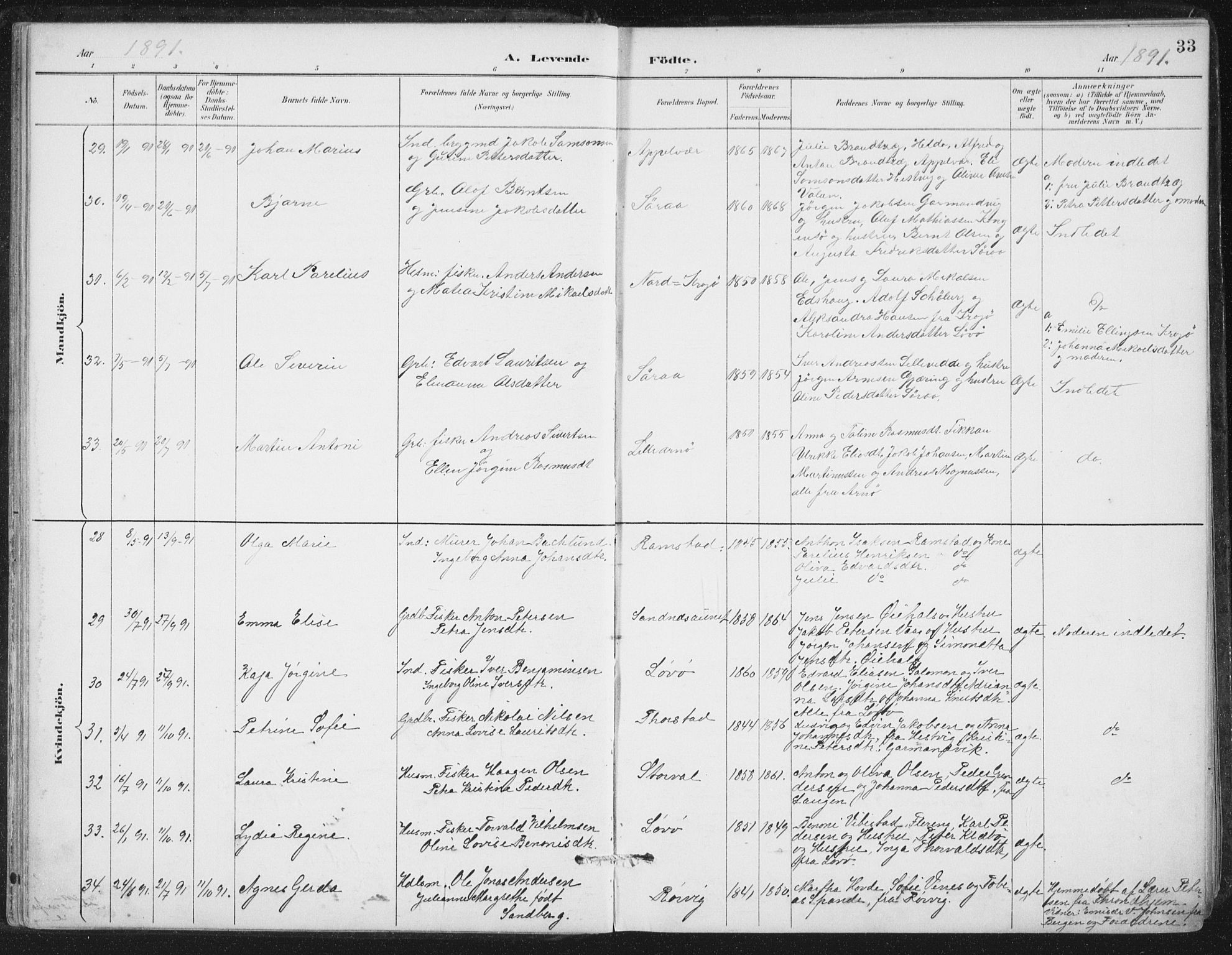 Ministerialprotokoller, klokkerbøker og fødselsregistre - Nord-Trøndelag, AV/SAT-A-1458/784/L0673: Ministerialbok nr. 784A08, 1888-1899, s. 33