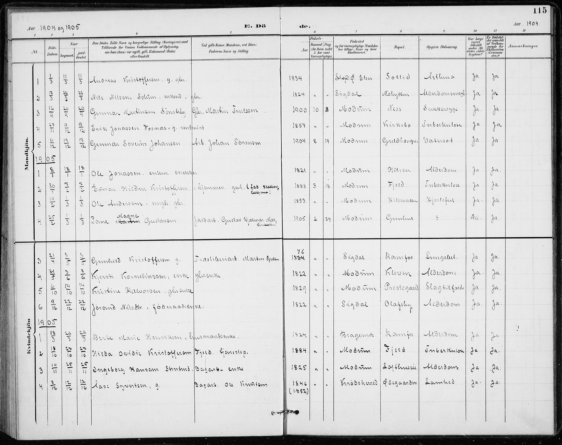 Modum kirkebøker, AV/SAKO-A-234/F/Fa/L0020: Ministerialbok nr. 20, 1900-1917, s. 115