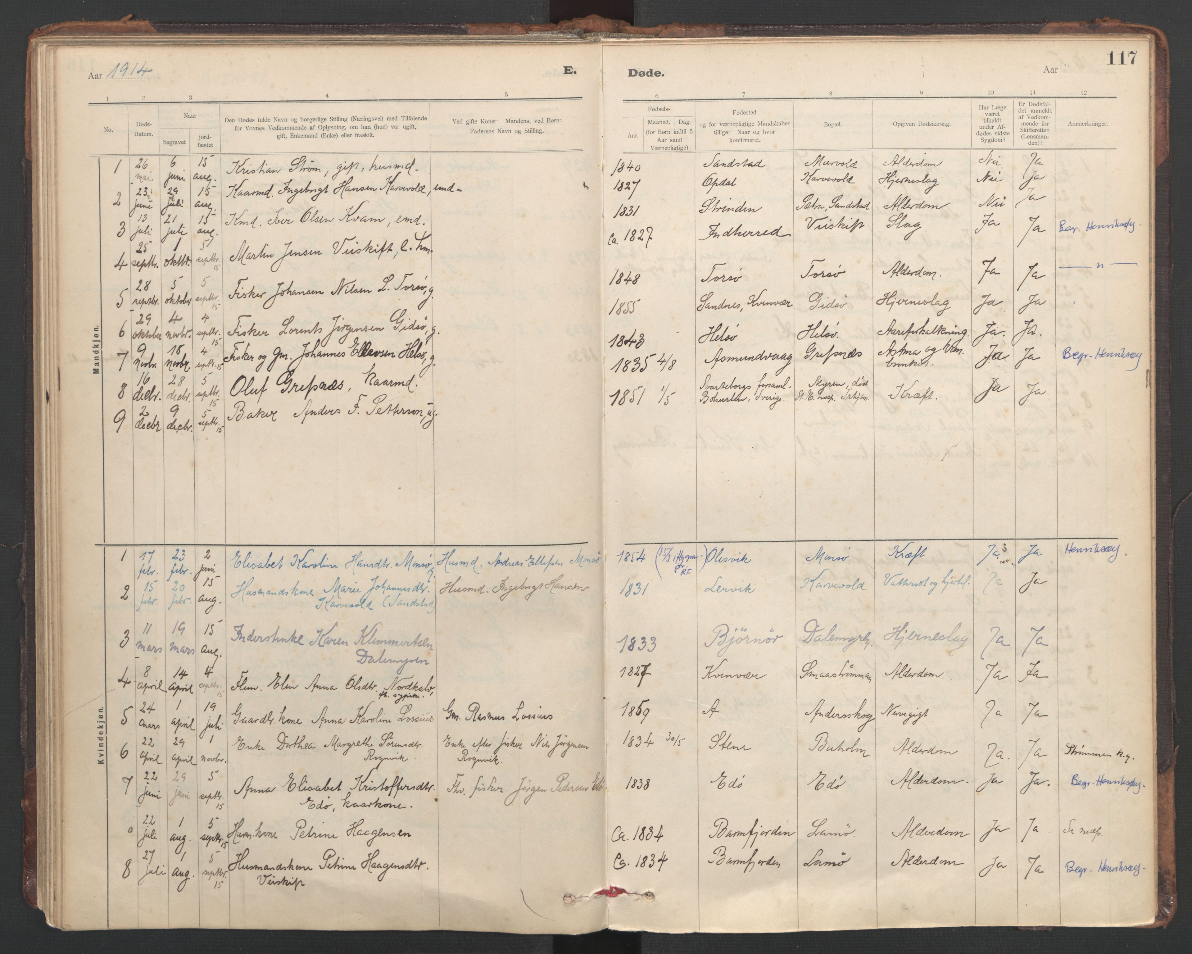 Ministerialprotokoller, klokkerbøker og fødselsregistre - Sør-Trøndelag, AV/SAT-A-1456/635/L0552: Ministerialbok nr. 635A02, 1899-1919, s. 117