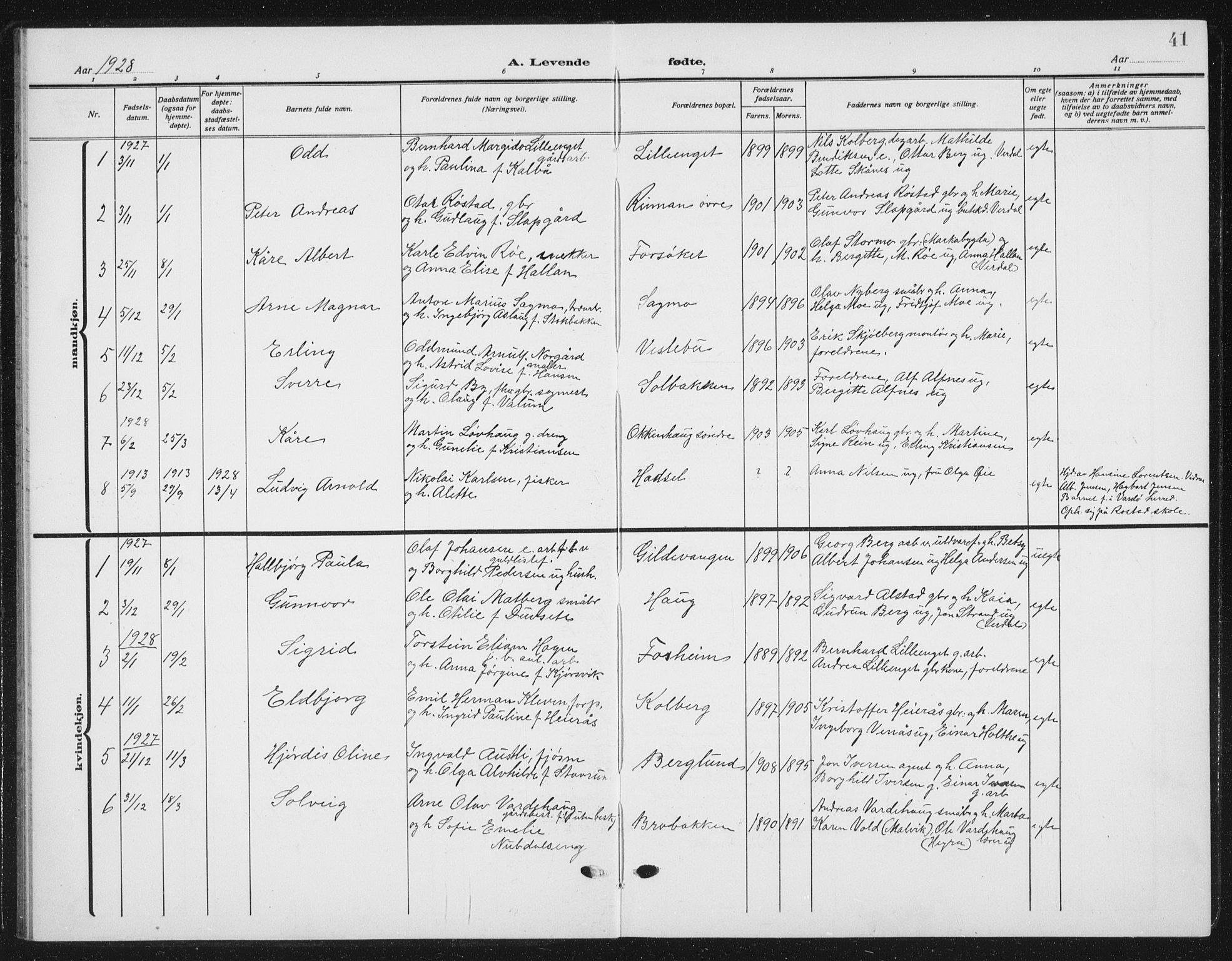Ministerialprotokoller, klokkerbøker og fødselsregistre - Nord-Trøndelag, AV/SAT-A-1458/721/L0209: Klokkerbok nr. 721C02, 1918-1940, s. 41