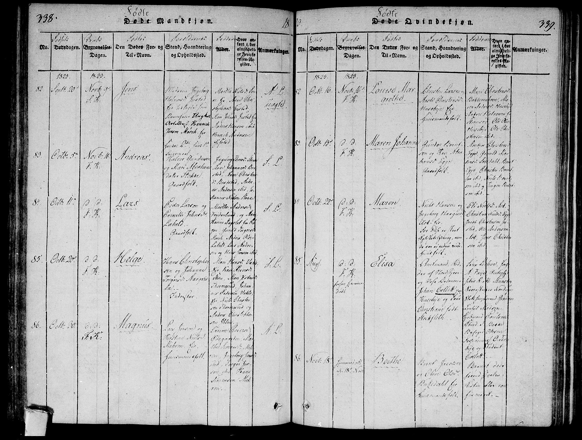 Lier kirkebøker, AV/SAKO-A-230/F/Fa/L0008: Ministerialbok nr. I 8, 1813-1825, s. 338-339
